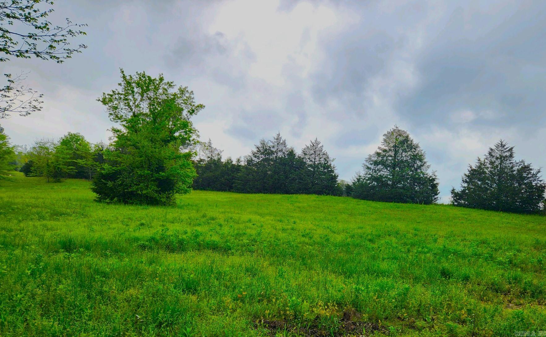 Photo 9 - Vacant Land for sale – 2132  Easy K   Sage, AR