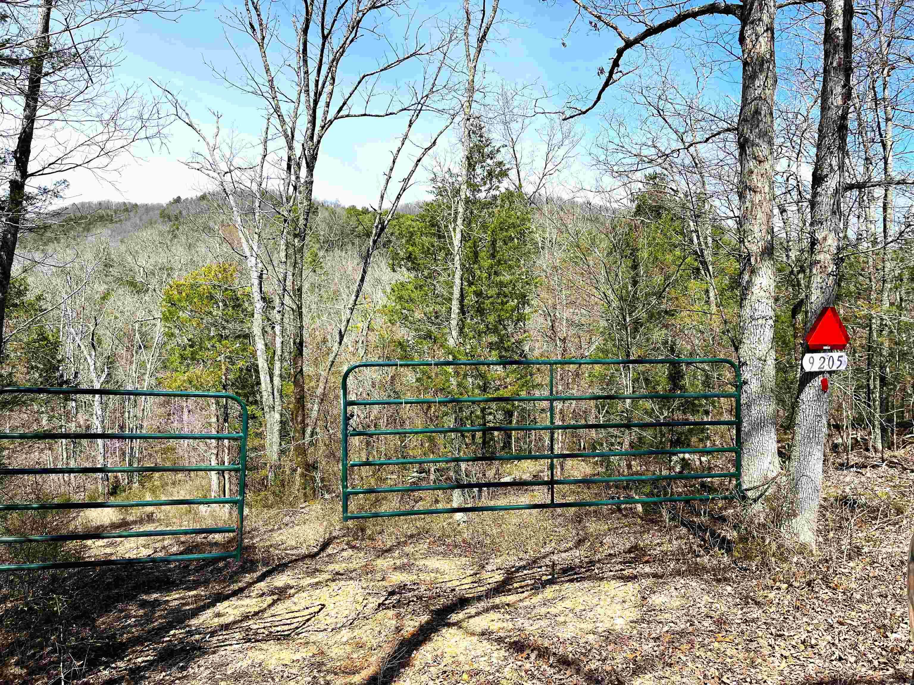 Photo 2 - Vacant Land for sale – 9205  Hwy 9   Melbourne, AR