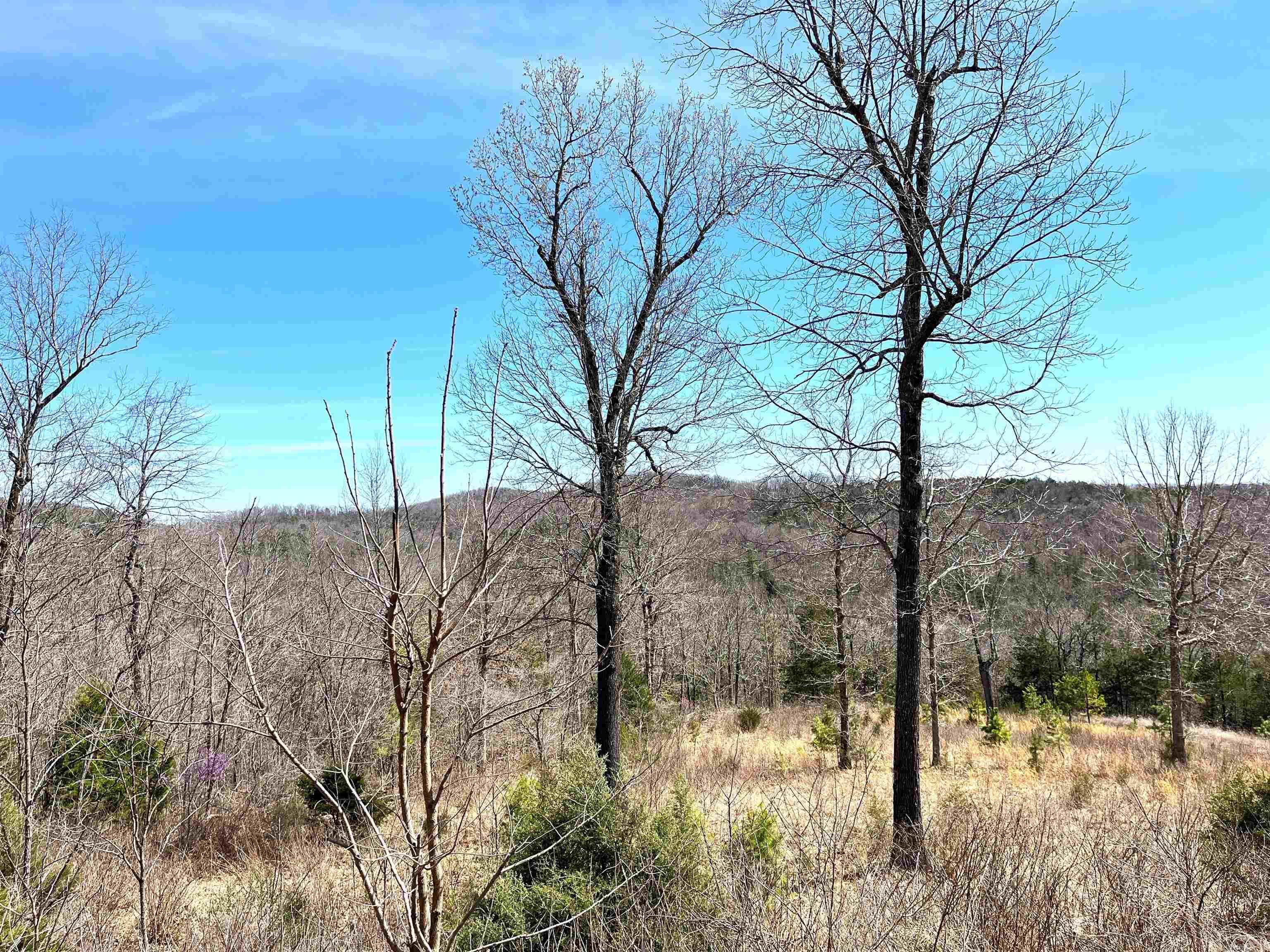 Photo 11 - Vacant Land for sale – 9205  Hwy 9   Melbourne, AR