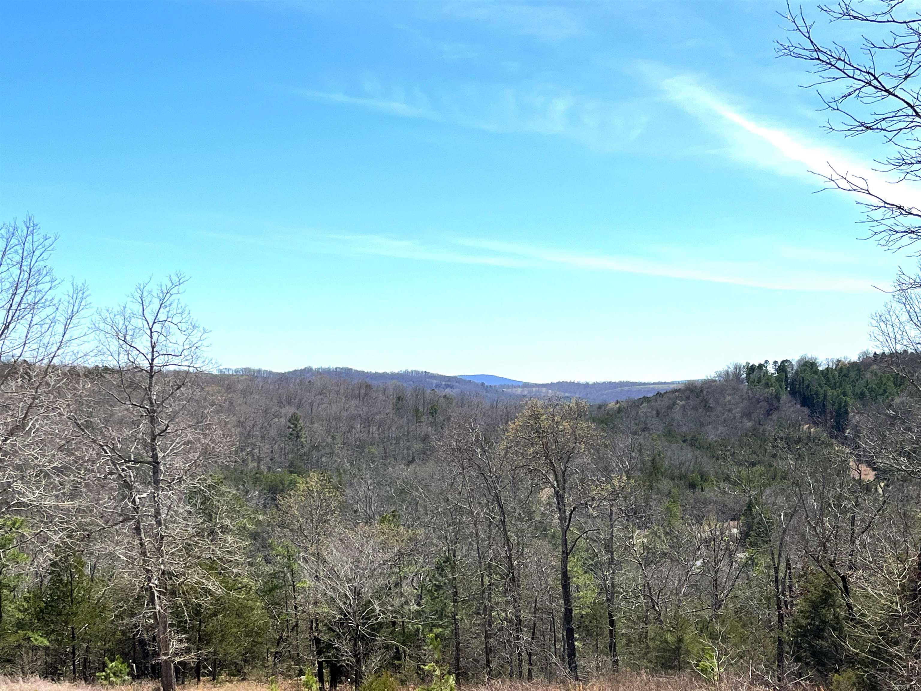 Photo 12 - Vacant Land for sale – 9205  Hwy 9   Melbourne, AR