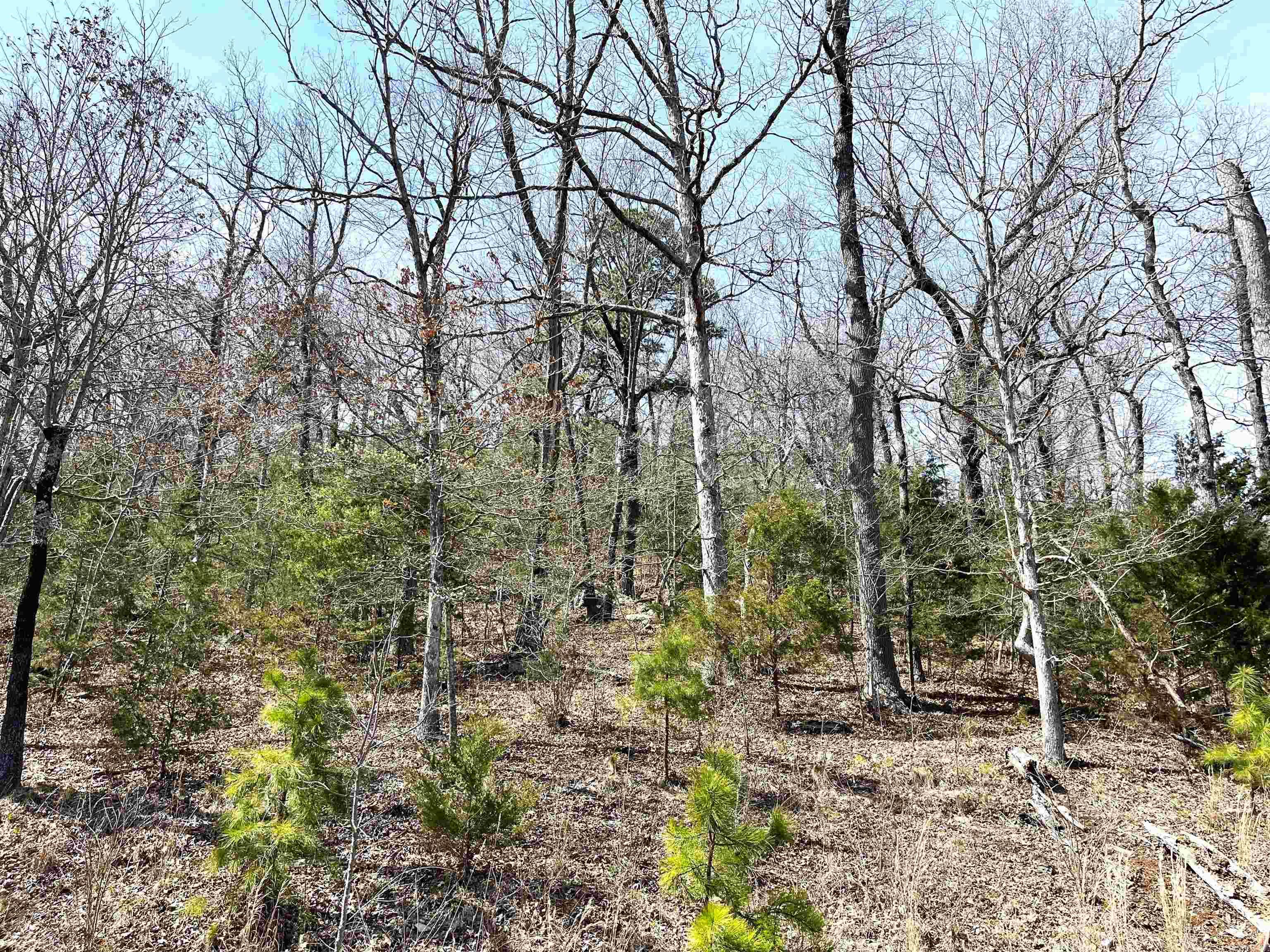 Photo 13 - Vacant Land for sale – 9205  Hwy 9   Melbourne, AR
