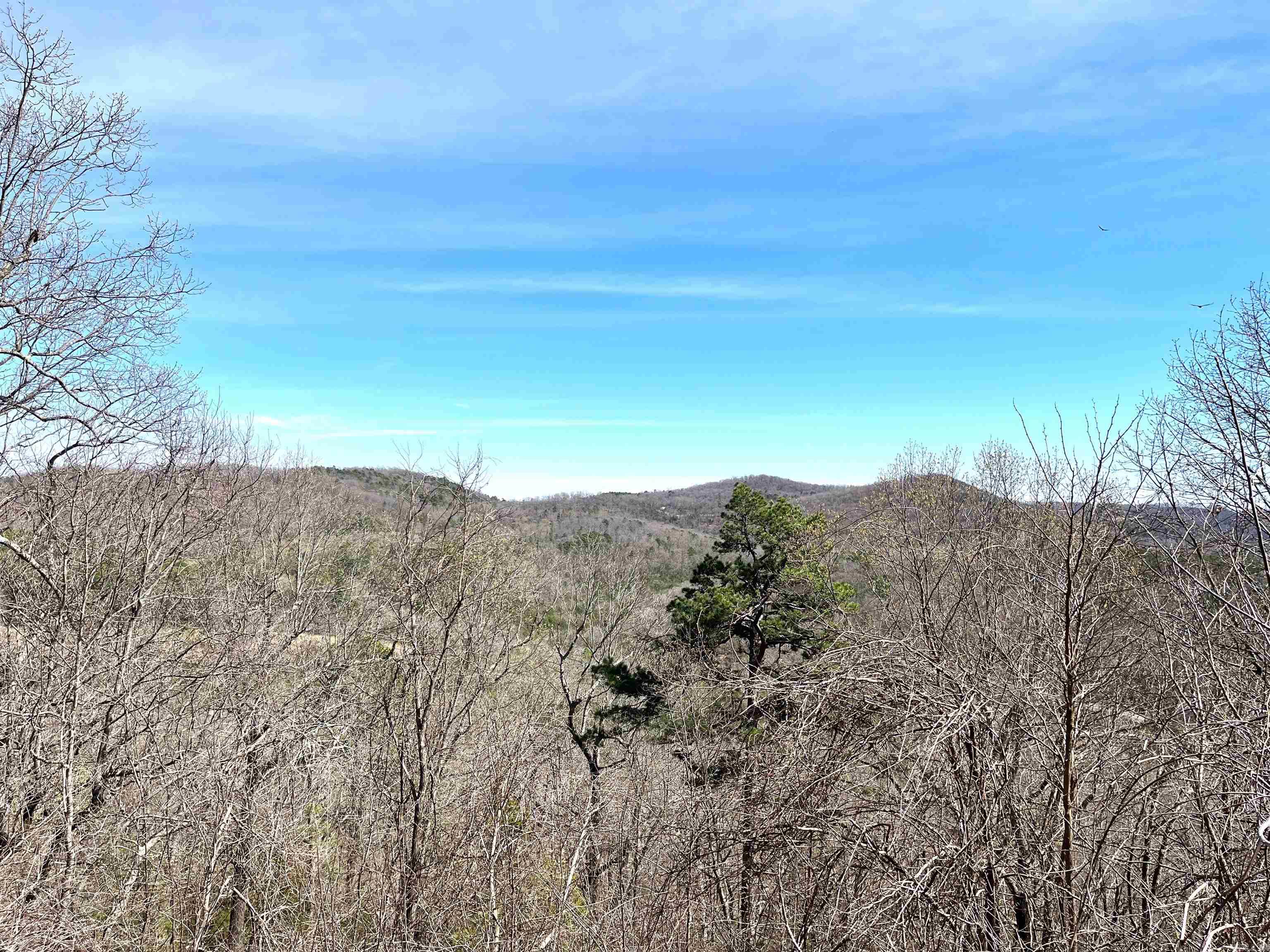 Photo 14 - Vacant Land for sale – 9205  Hwy 9   Melbourne, AR