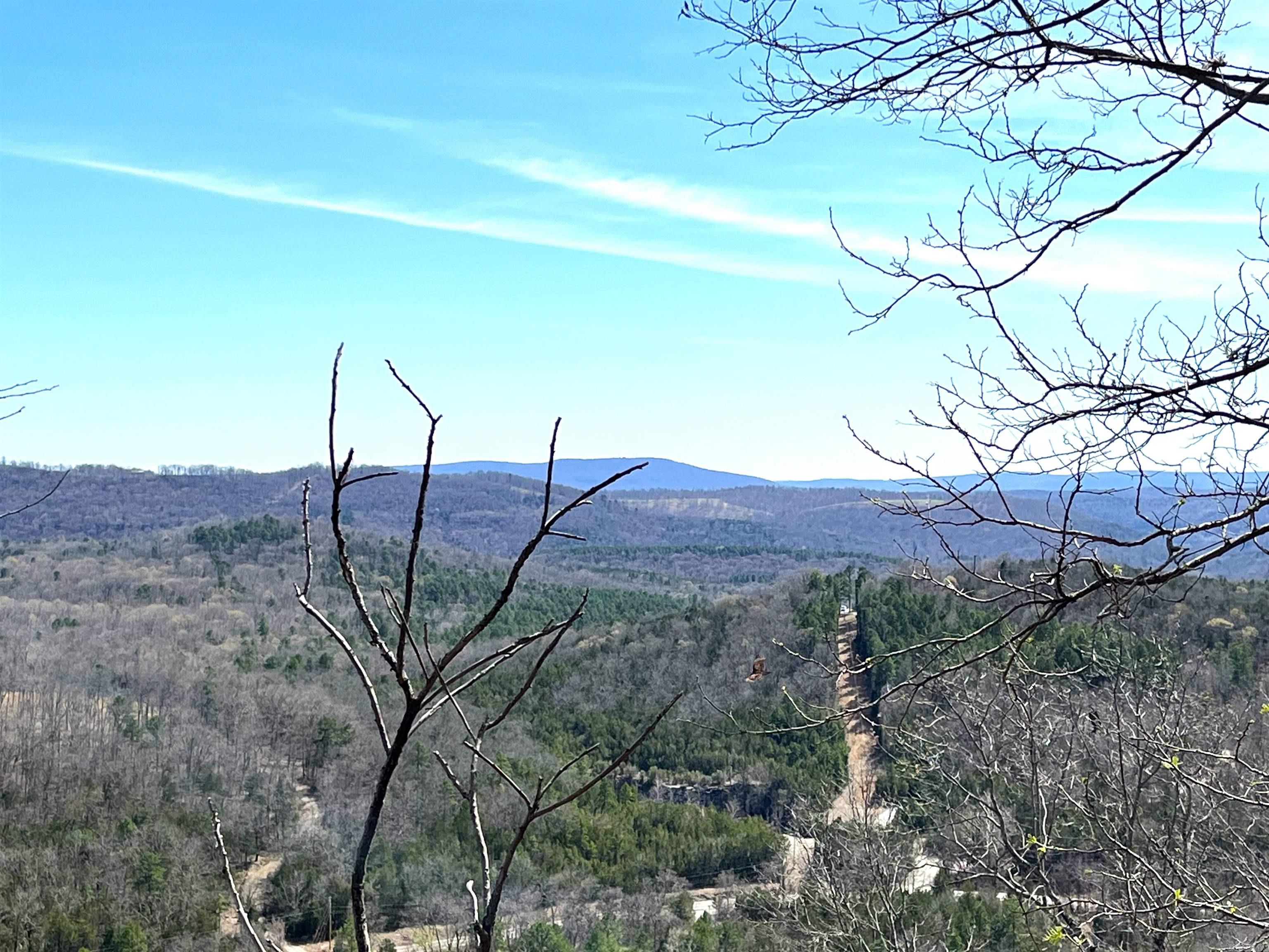 Photo 16 - Vacant Land for sale – 9205  Hwy 9   Melbourne, AR