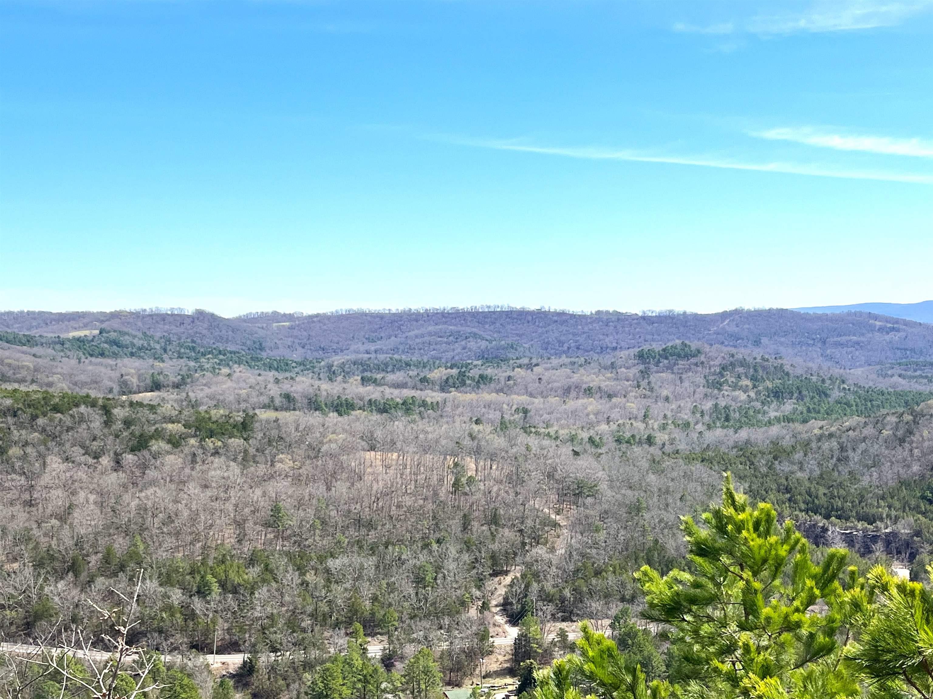Photo 17 - Vacant Land for sale – 9205  Hwy 9   Melbourne, AR