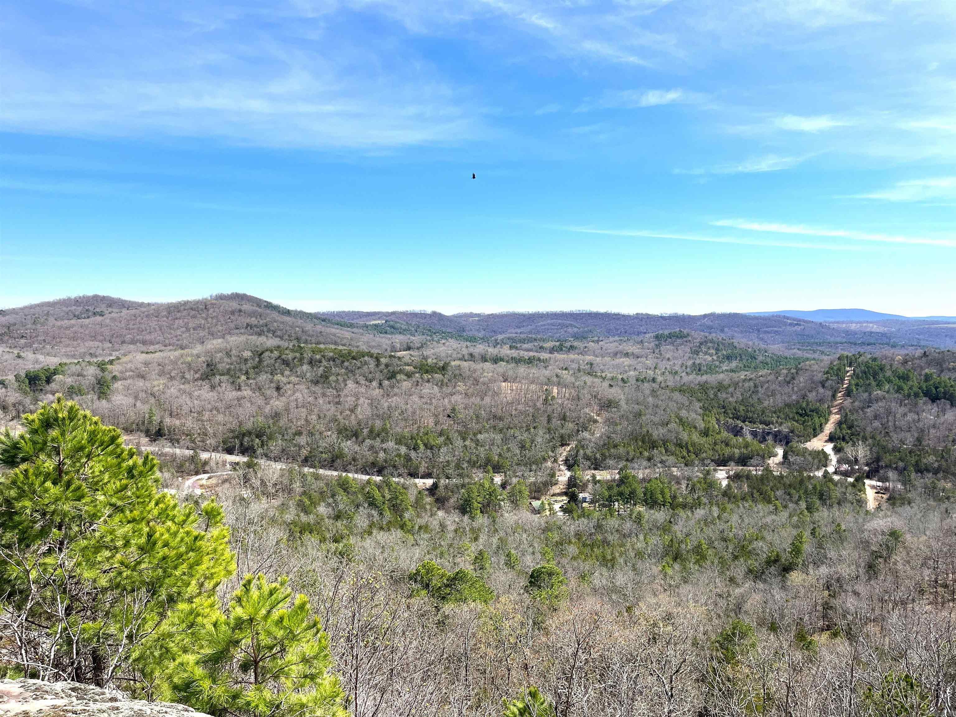 Photo 19 - Vacant Land for sale – 9205  Hwy 9   Melbourne, AR