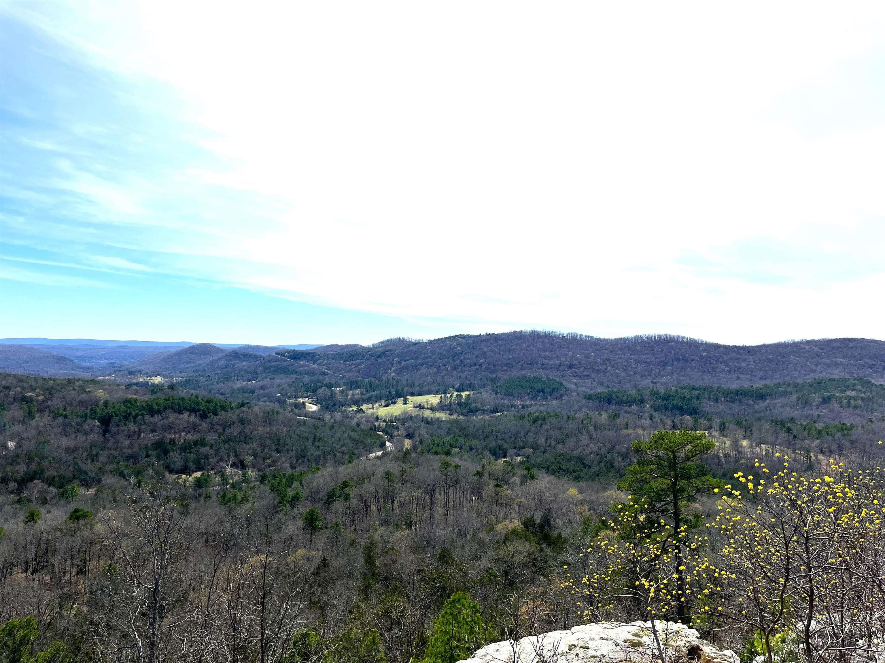 Photo 20 - Vacant Land for sale – 9205  Hwy 9   Melbourne, AR