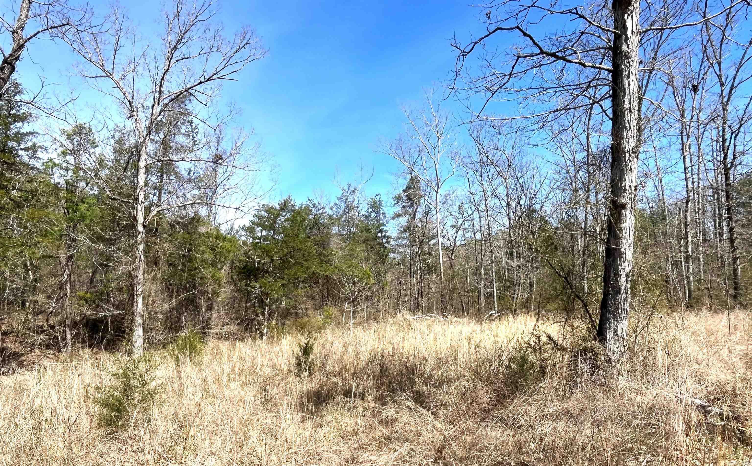 Photo 3 - Vacant Land for sale – 9205  Hwy 9   Melbourne, AR