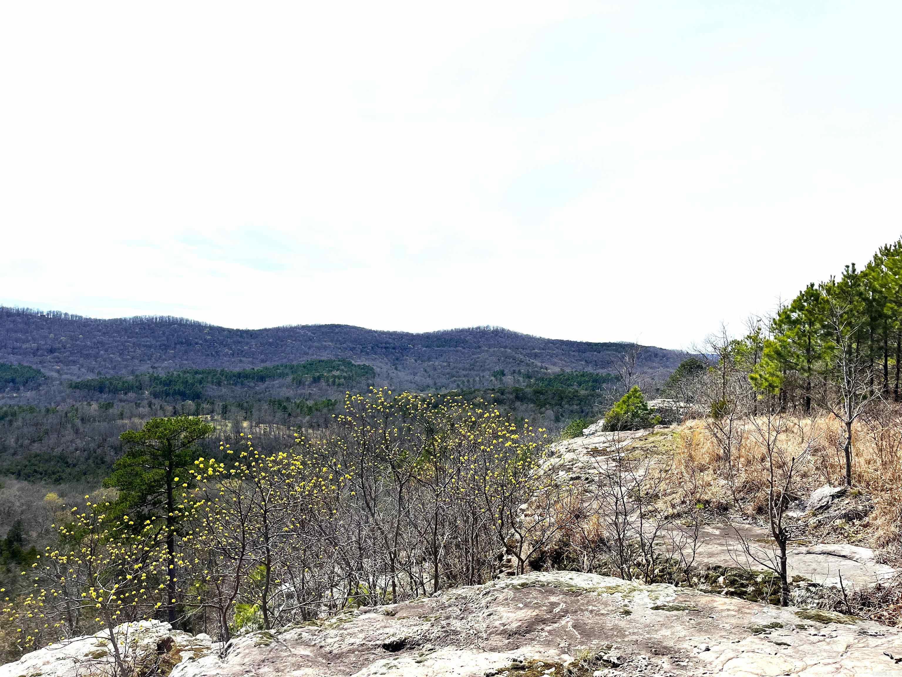 Photo 21 - Vacant Land for sale – 9205  Hwy 9   Melbourne, AR