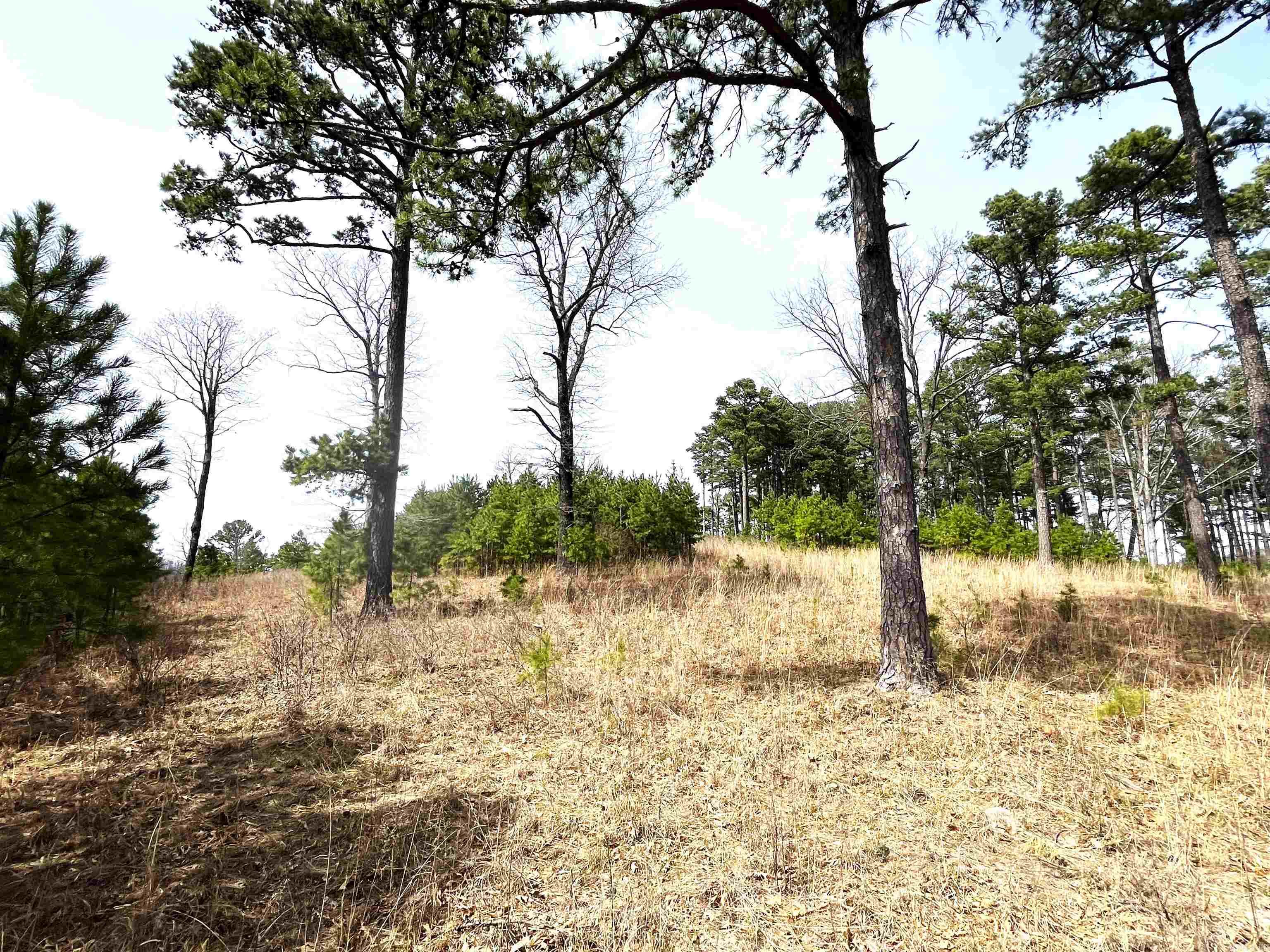 Photo 25 - Vacant Land for sale – 9205  Hwy 9   Melbourne, AR