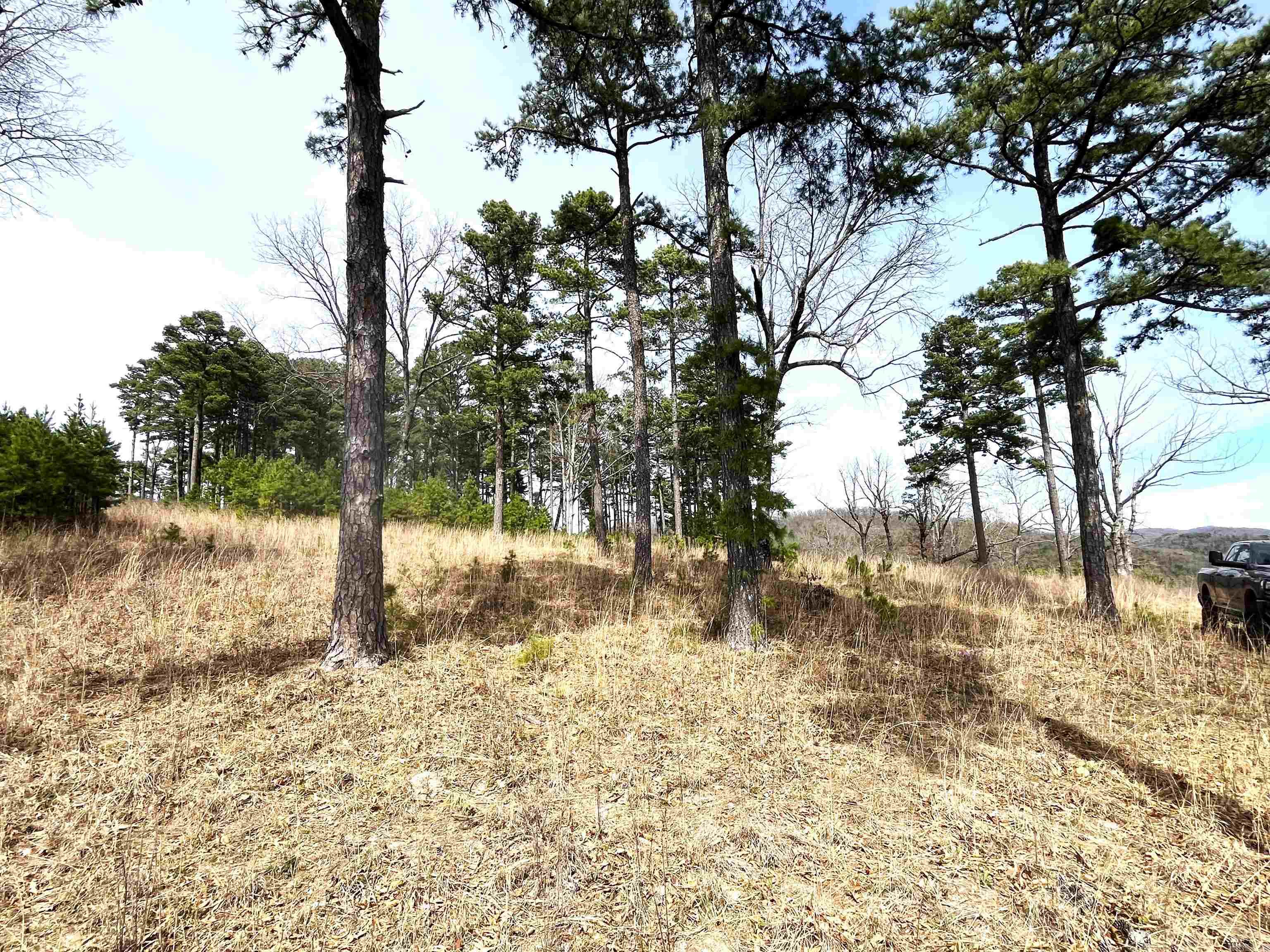 Photo 26 - Vacant Land for sale – 9205  Hwy 9   Melbourne, AR