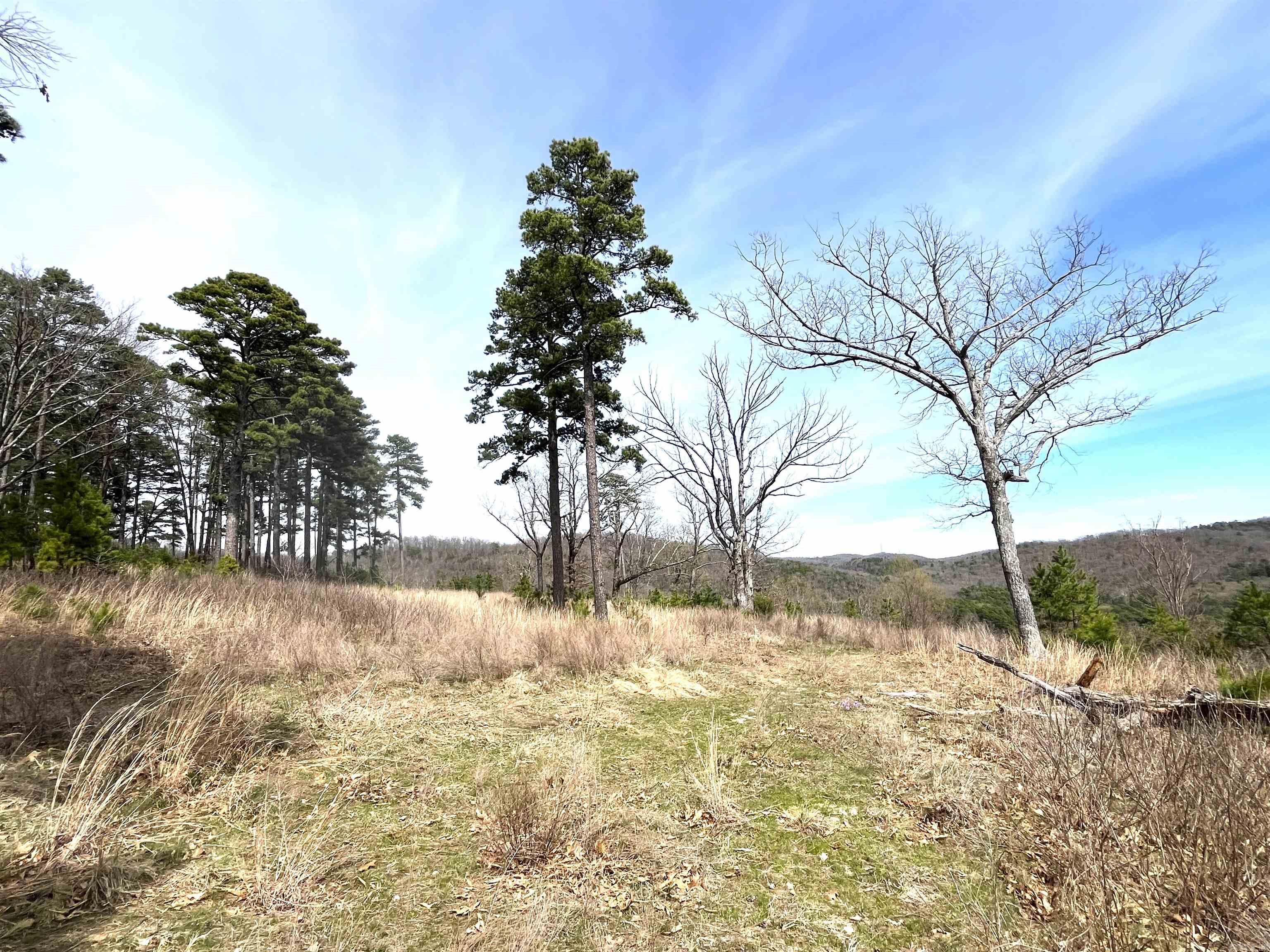 Photo 27 - Vacant Land for sale – 9205  Hwy 9   Melbourne, AR