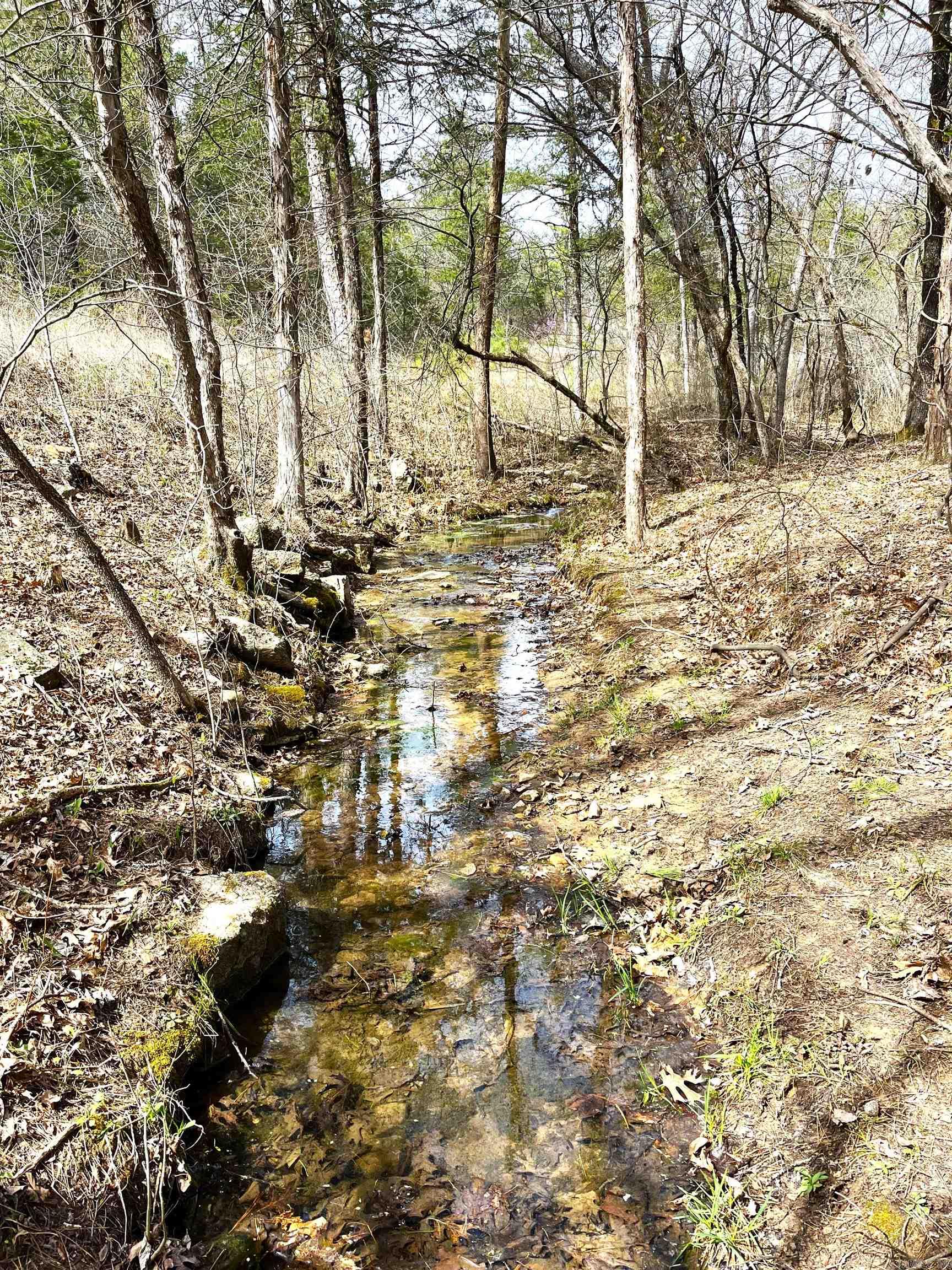 Photo 28 - Vacant Land for sale – 9205  Hwy 9   Melbourne, AR