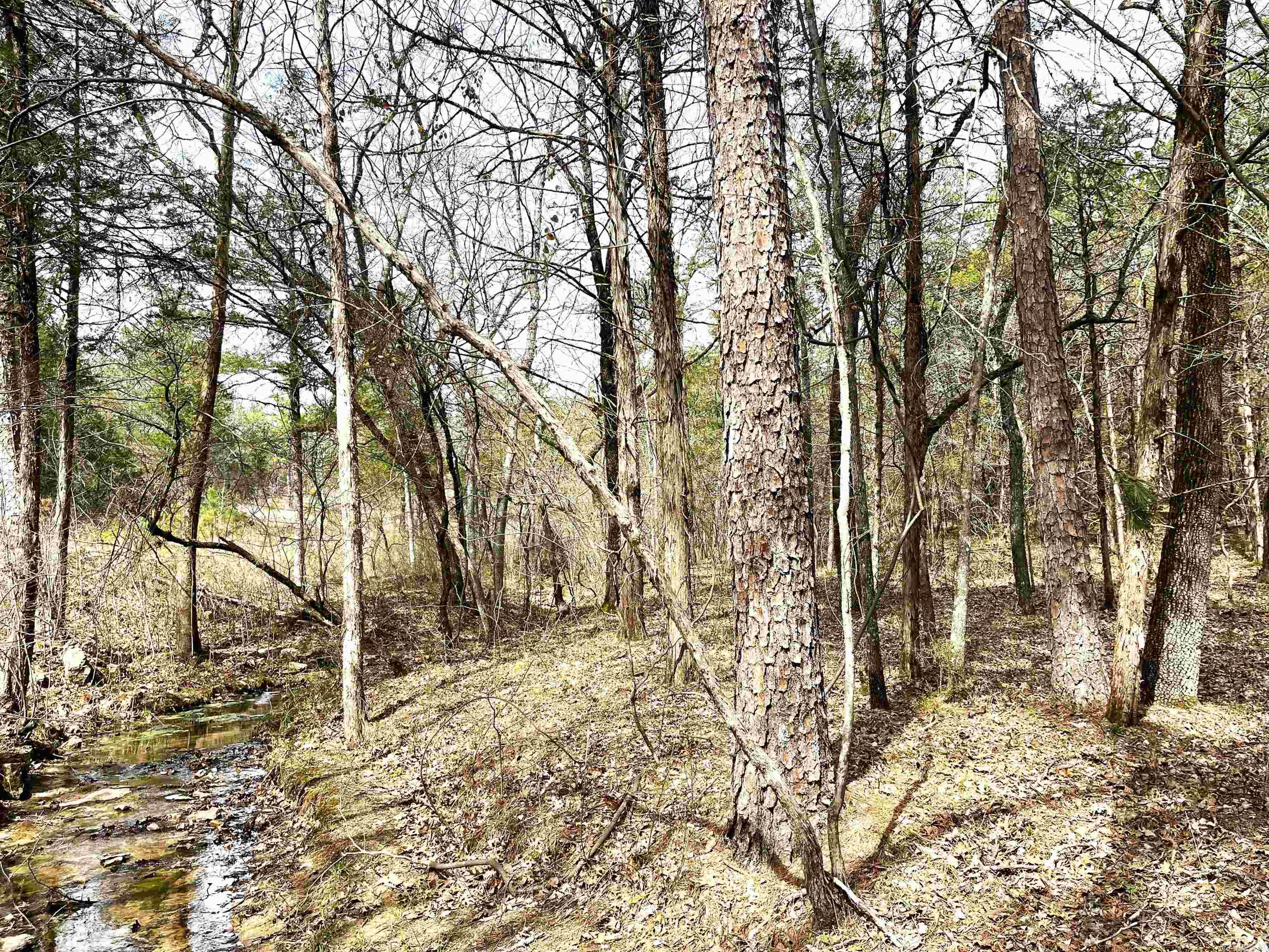 Photo 29 - Vacant Land for sale – 9205  Hwy 9   Melbourne, AR