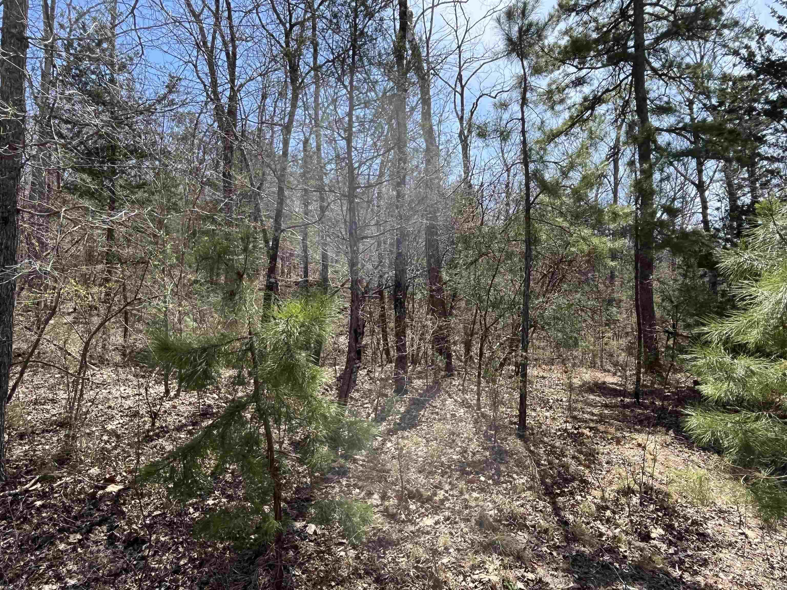 Photo 4 - Vacant Land for sale – 9205  Hwy 9   Melbourne, AR