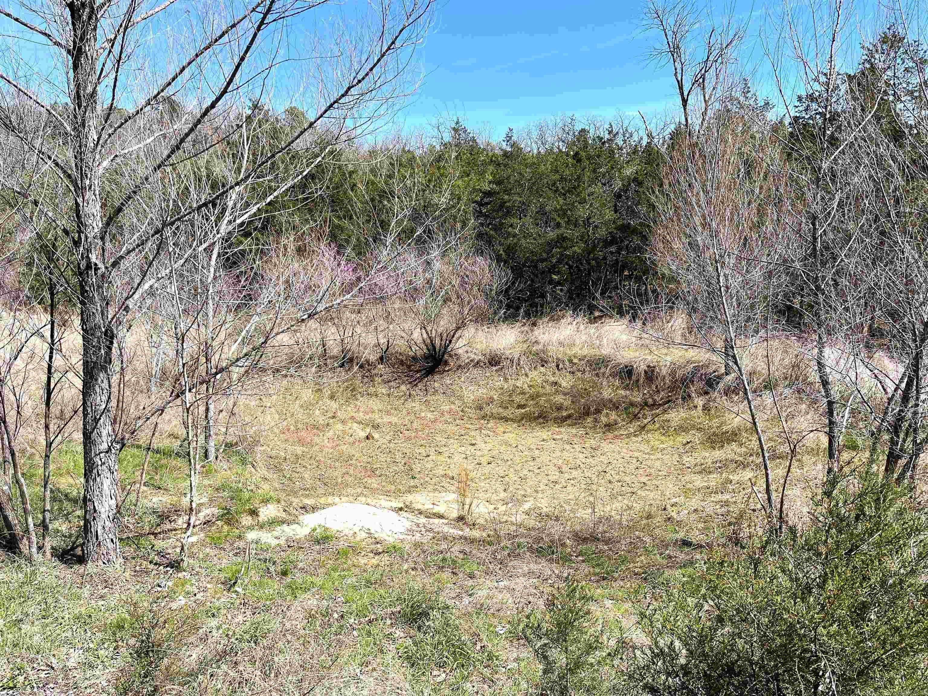 Photo 5 - Vacant Land for sale – 9205  Hwy 9   Melbourne, AR
