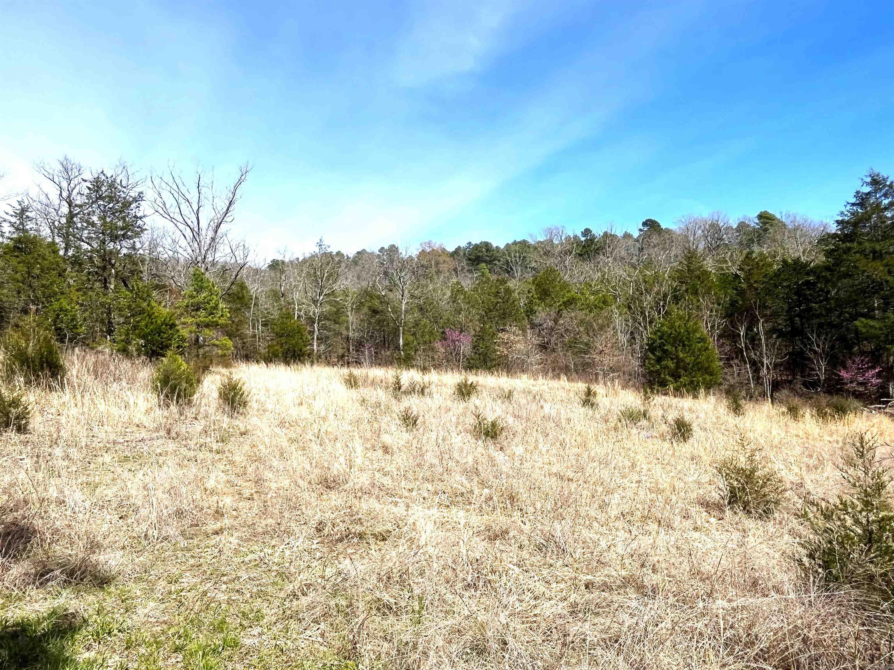 Photo 6 - Vacant Land for sale – 9205  Hwy 9   Melbourne, AR