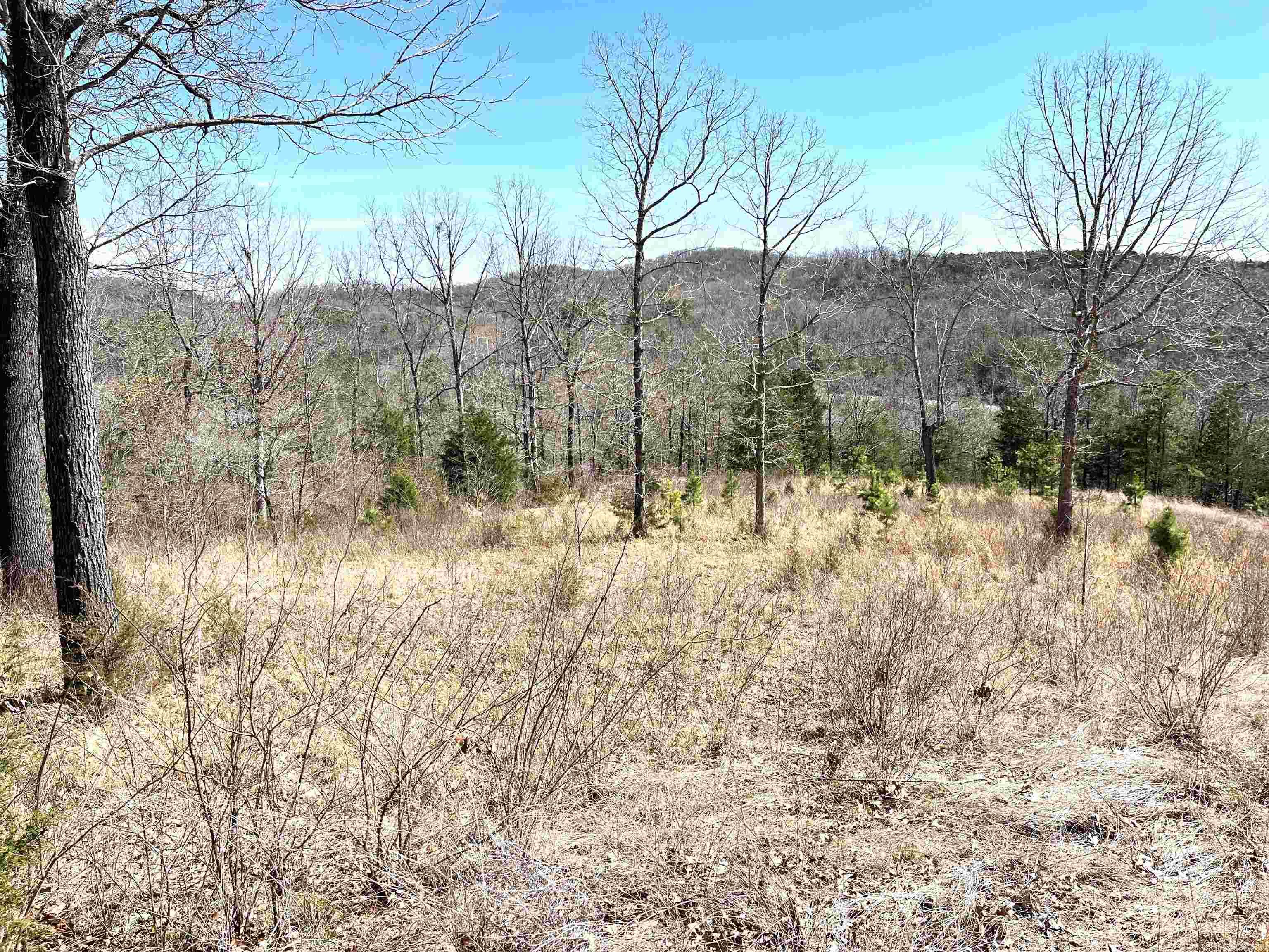 Photo 8 - Vacant Land for sale – 9205  Hwy 9   Melbourne, AR