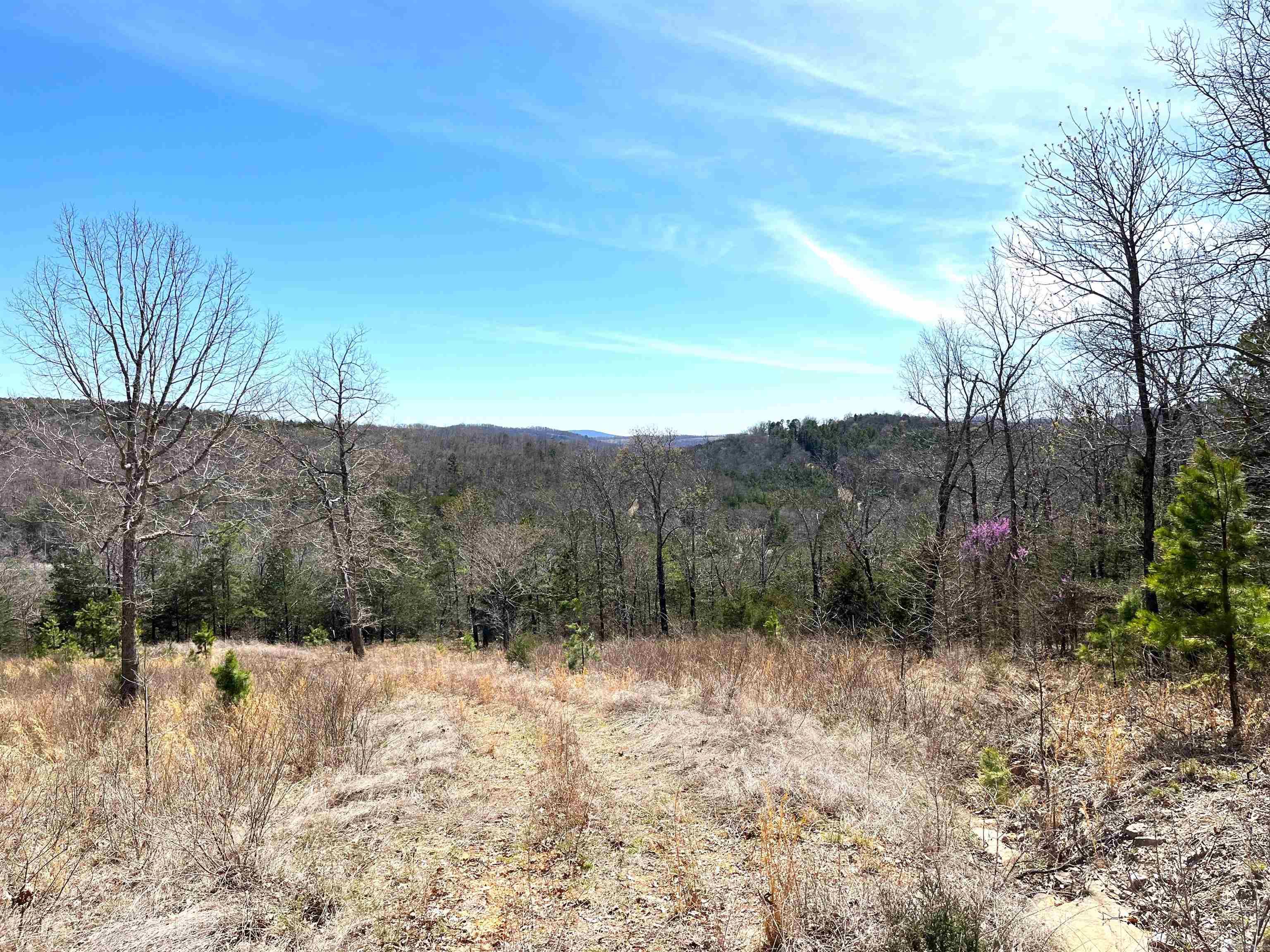 Photo 9 - Vacant Land for sale – 9205  Hwy 9   Melbourne, AR