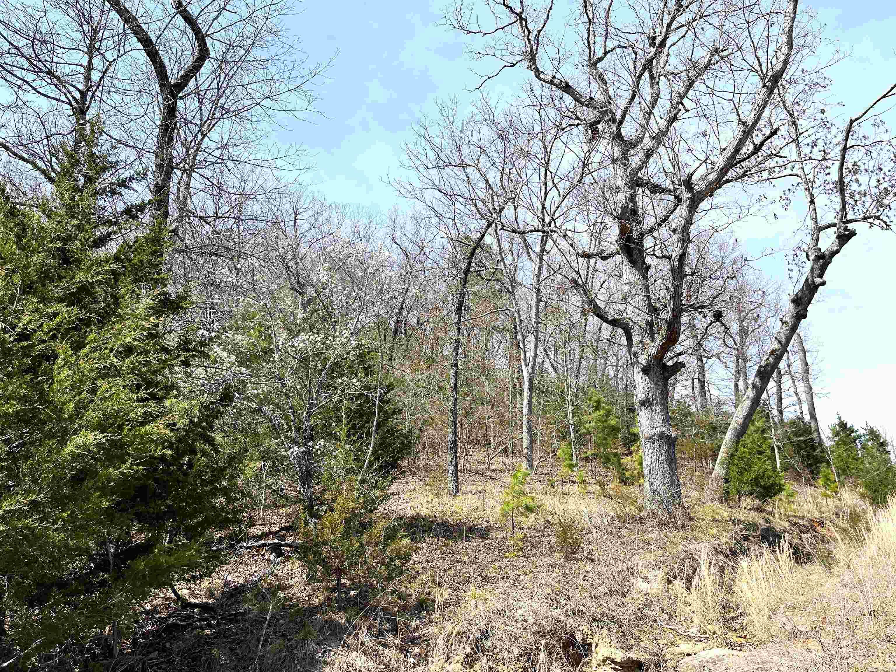 Photo 10 - Vacant Land for sale – 9205  Hwy 9   Melbourne, AR