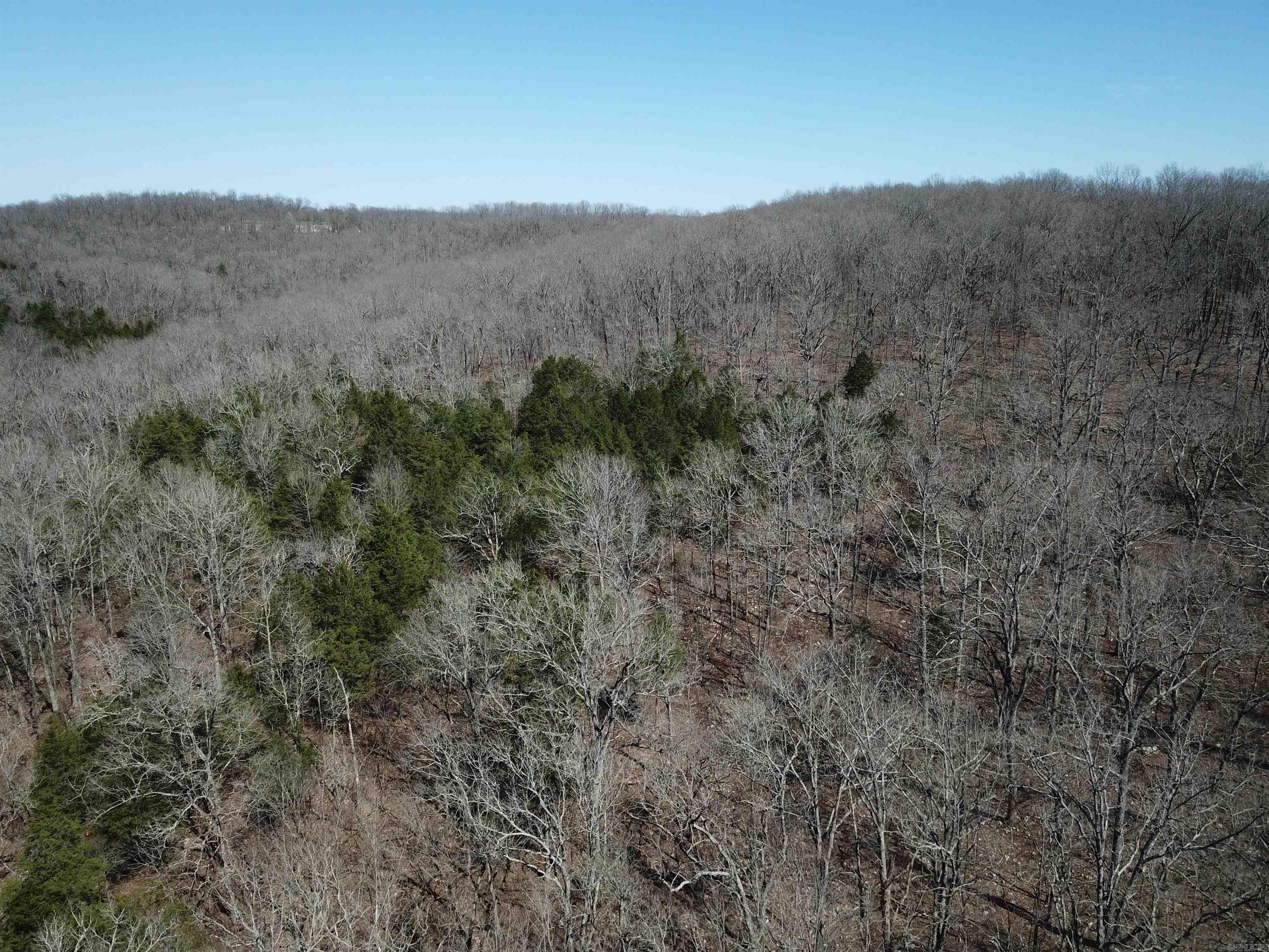 Photo 11 - Vacant Land for sale – 000  Bluff   Hardy, AR