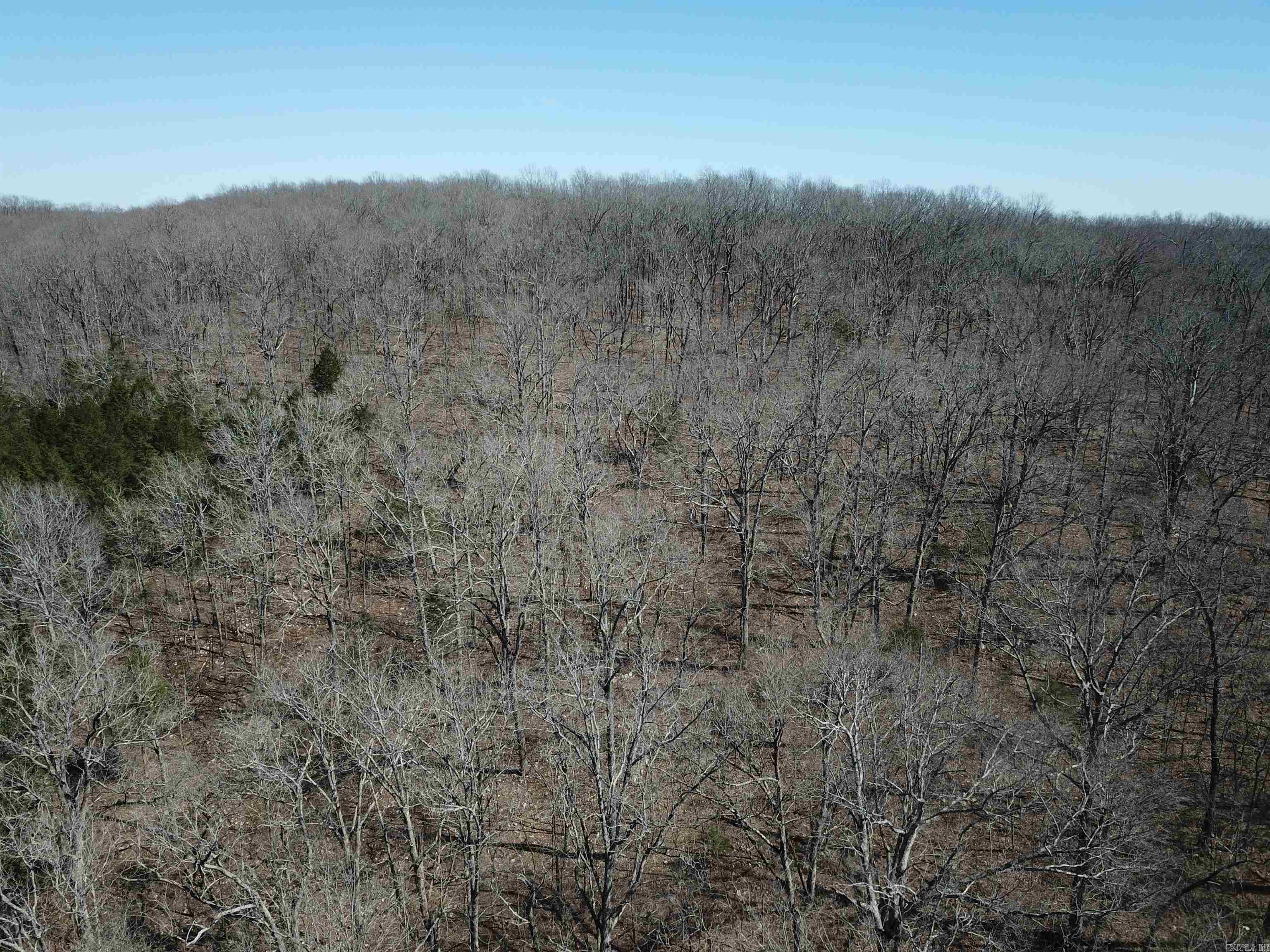Photo 12 - Vacant Land for sale – 000  Bluff   Hardy, AR
