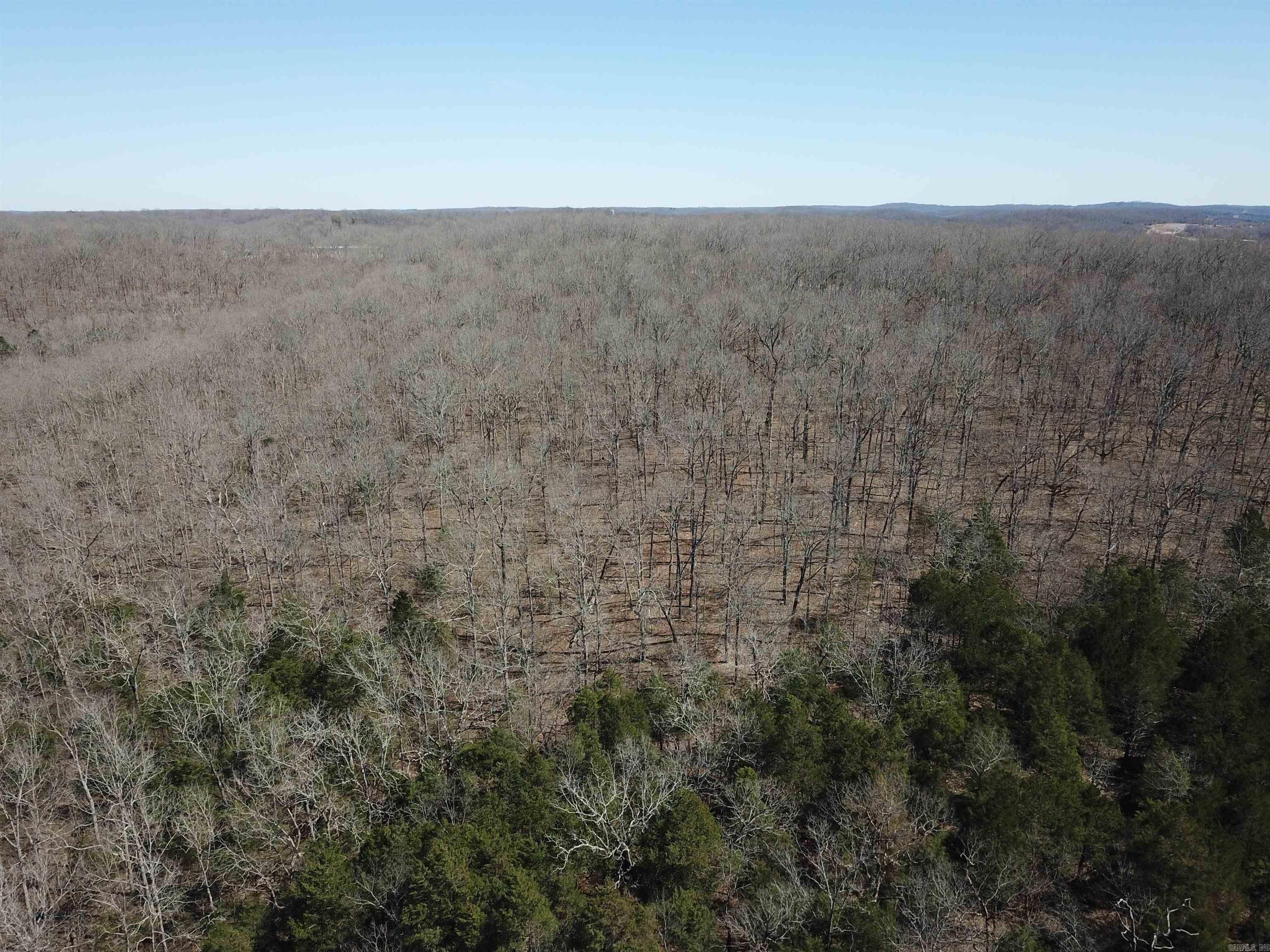 Photo 13 - Vacant Land for sale – 000  Bluff   Hardy, AR