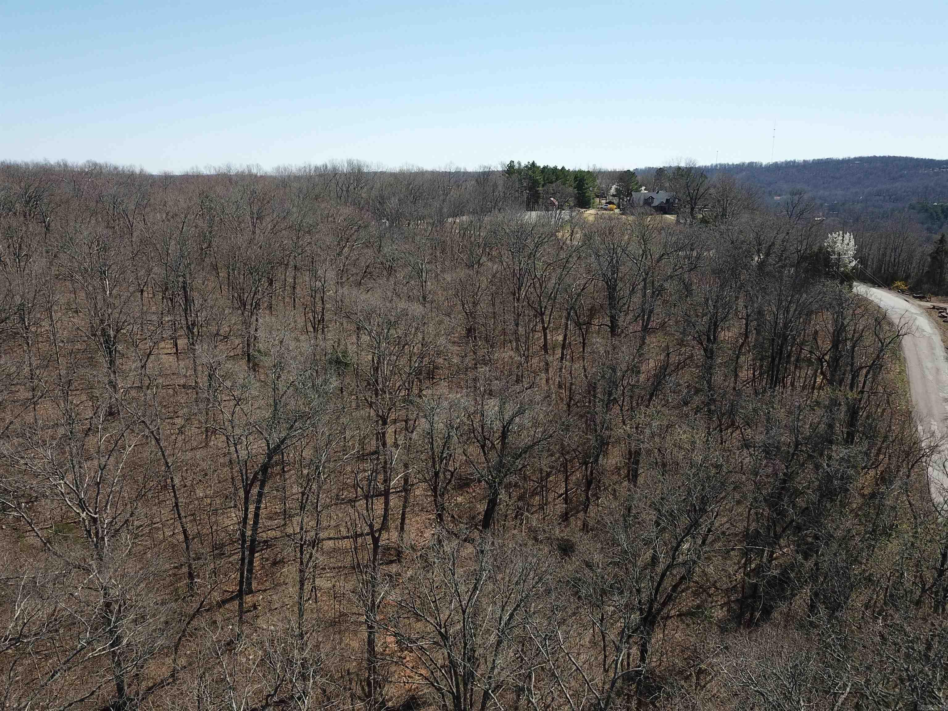 Photo 14 - Vacant Land for sale – 000  Bluff   Hardy, AR
