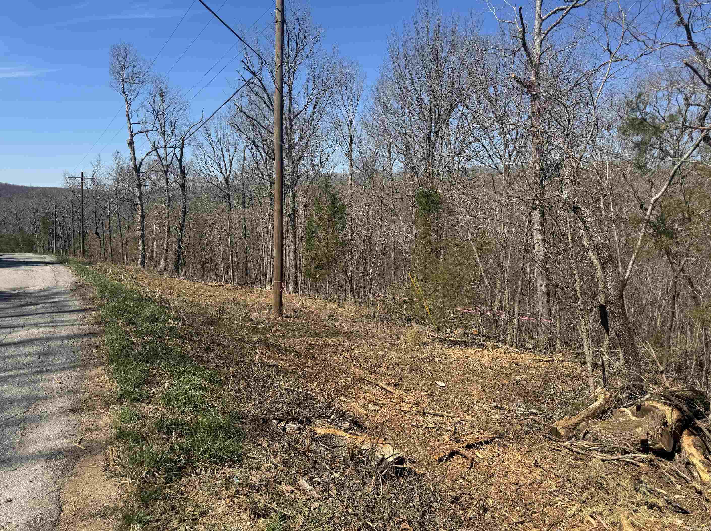 Photo 4 - Vacant Land for sale – 000  Bluff   Hardy, AR