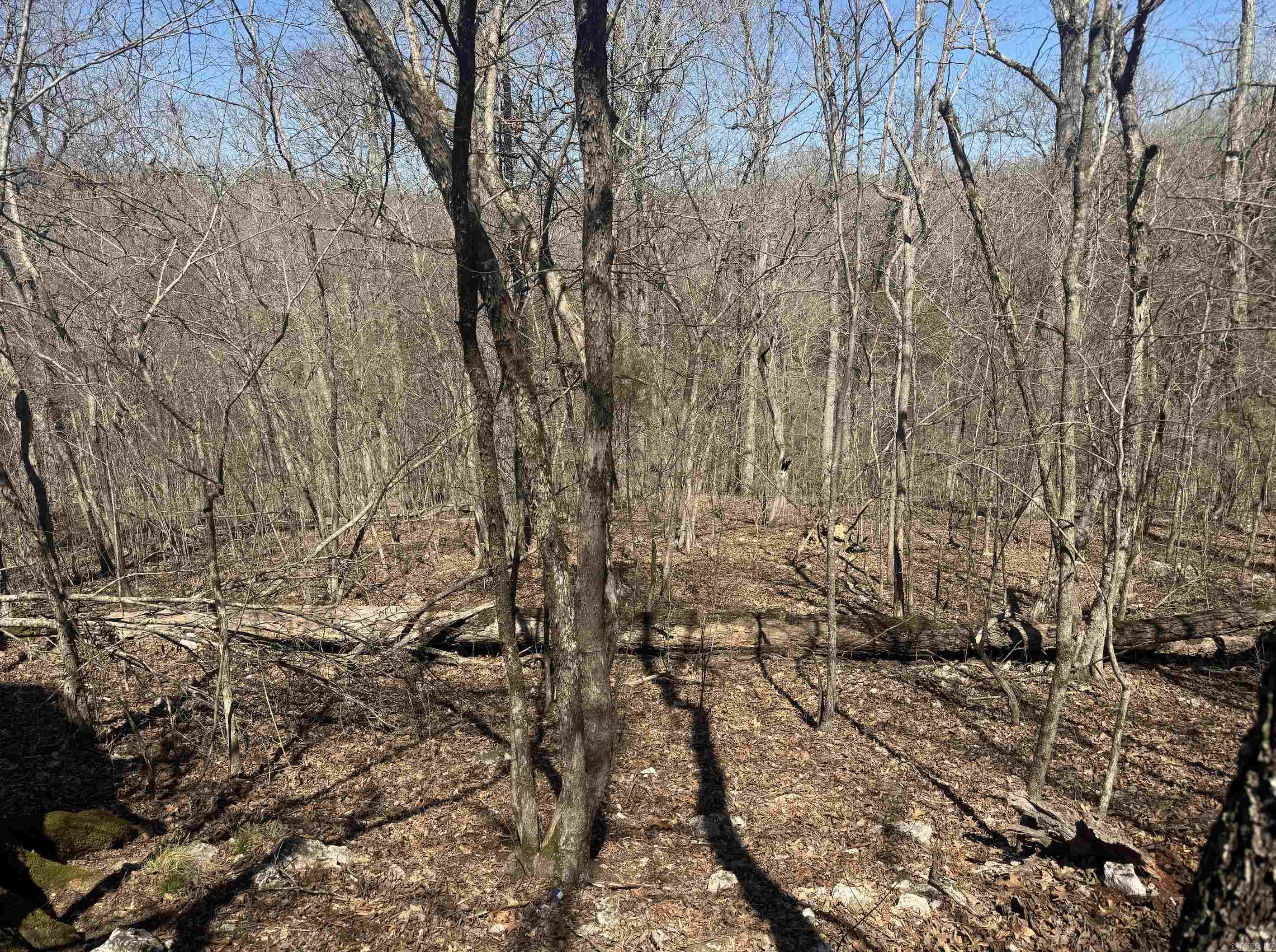 Photo 5 - Vacant Land for sale – 000  Bluff   Hardy, AR