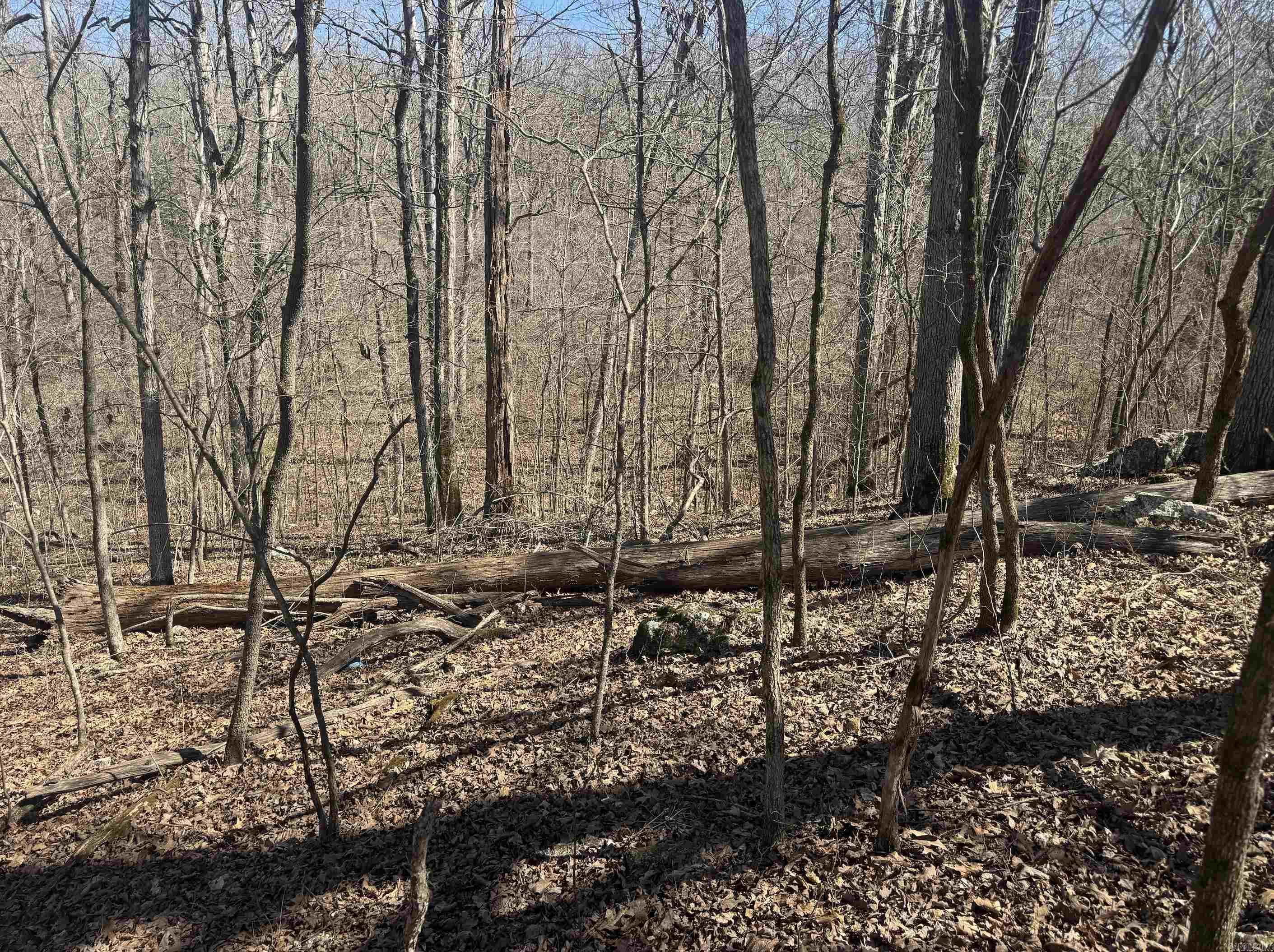Photo 6 - Vacant Land for sale – 000  Bluff   Hardy, AR
