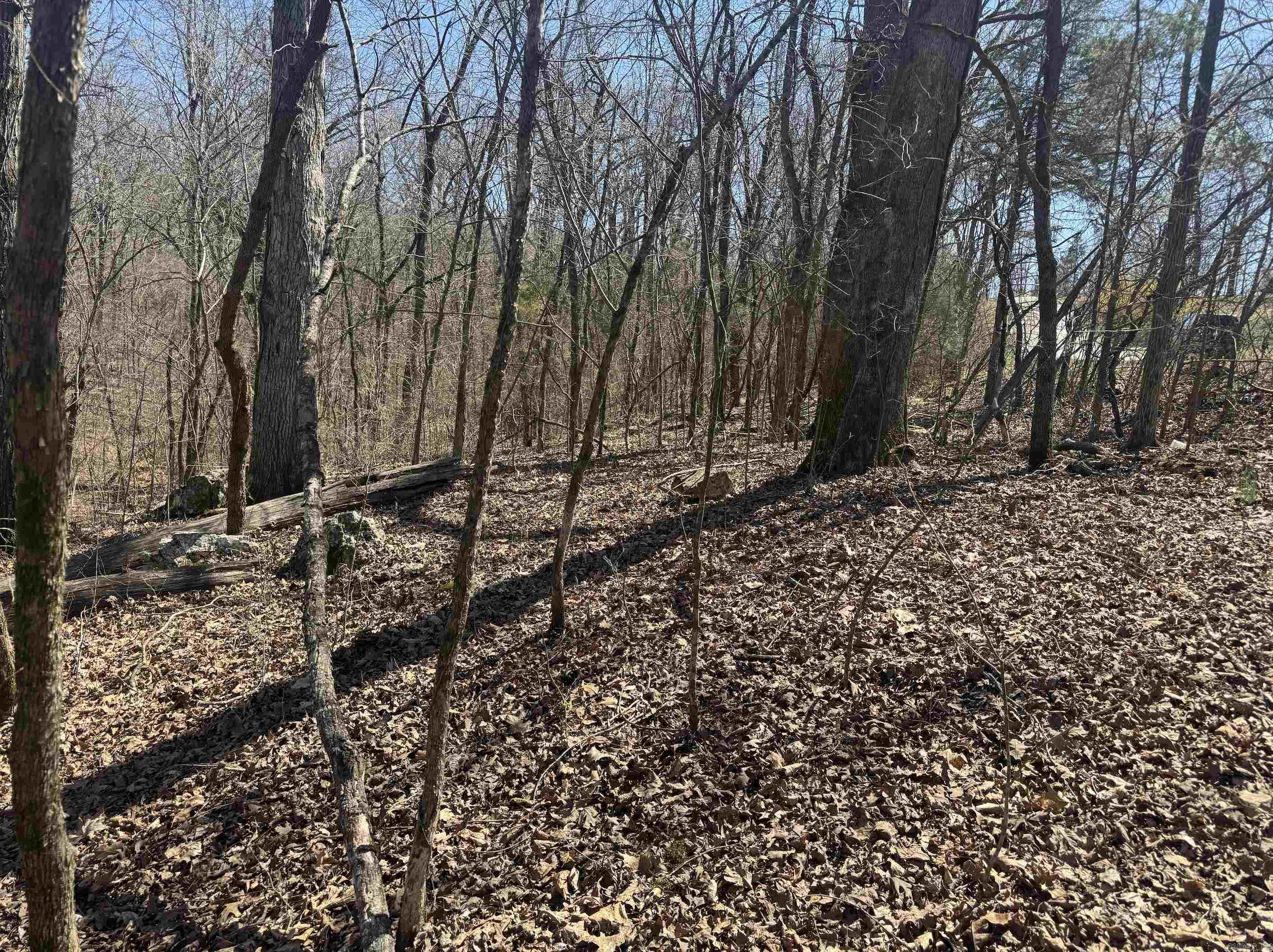 Photo 7 - Vacant Land for sale – 000  Bluff   Hardy, AR