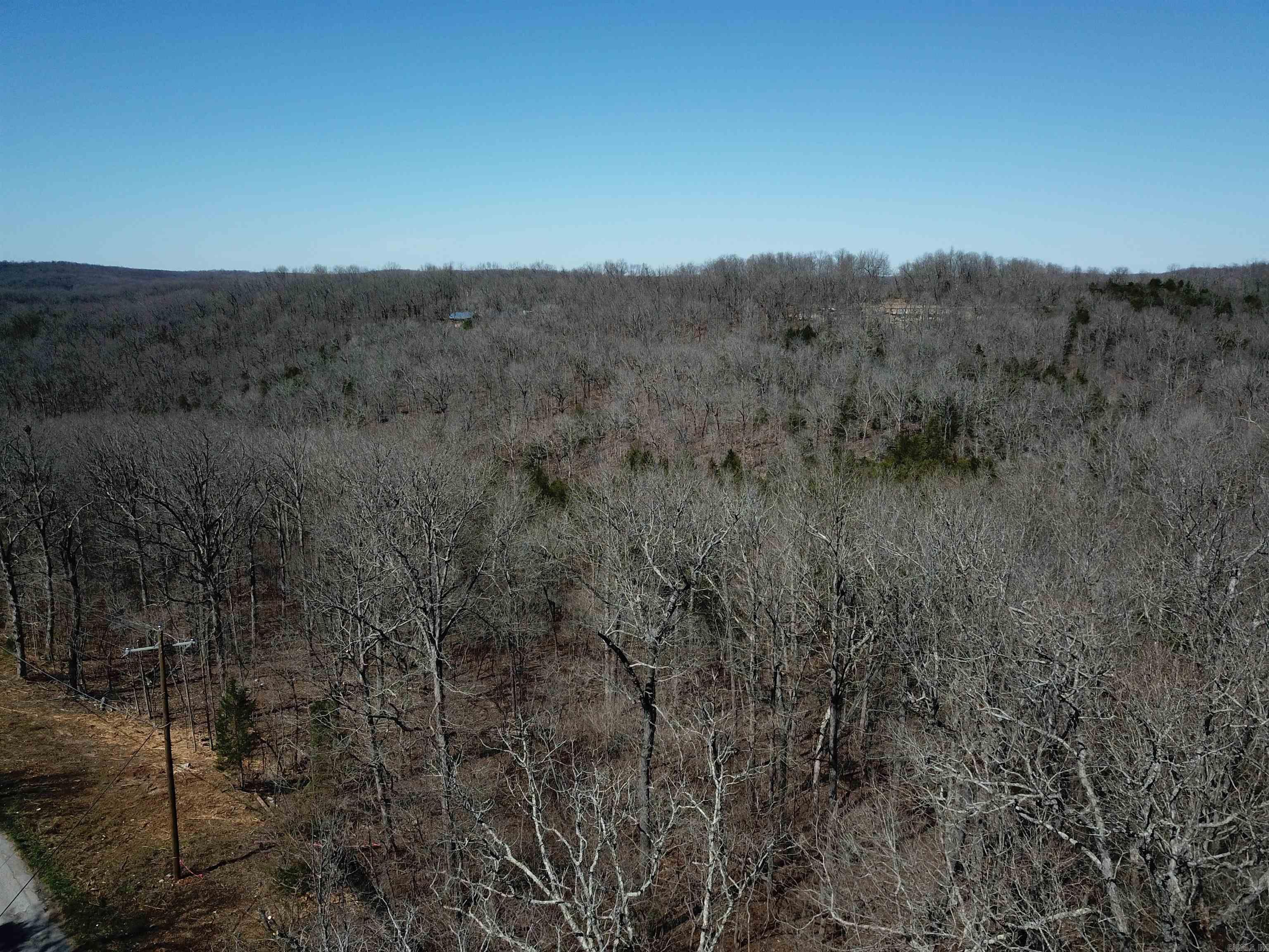Photo 8 - Vacant Land for sale – 000  Bluff   Hardy, AR