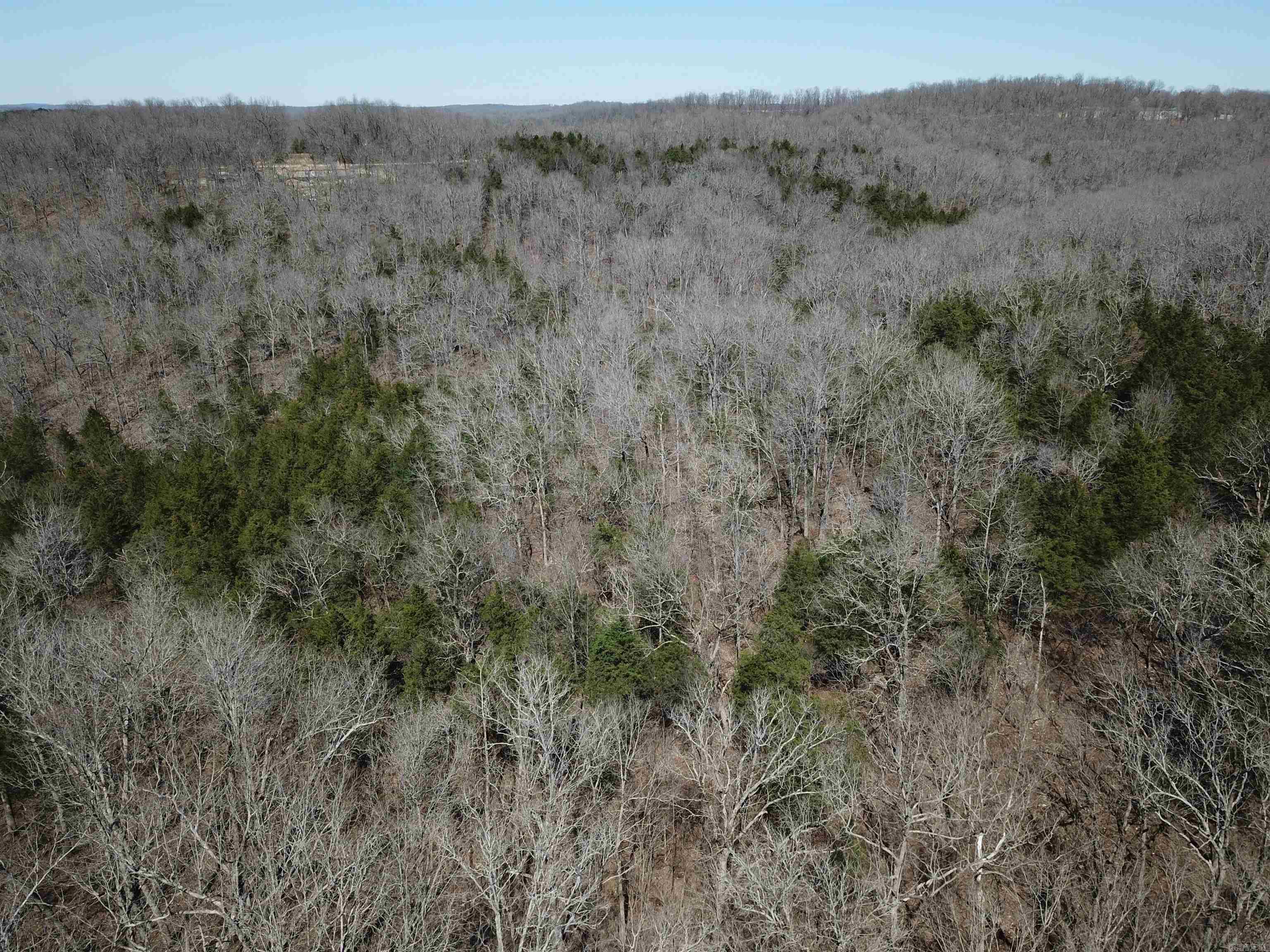 Photo 9 - Vacant Land for sale – 000  Bluff   Hardy, AR