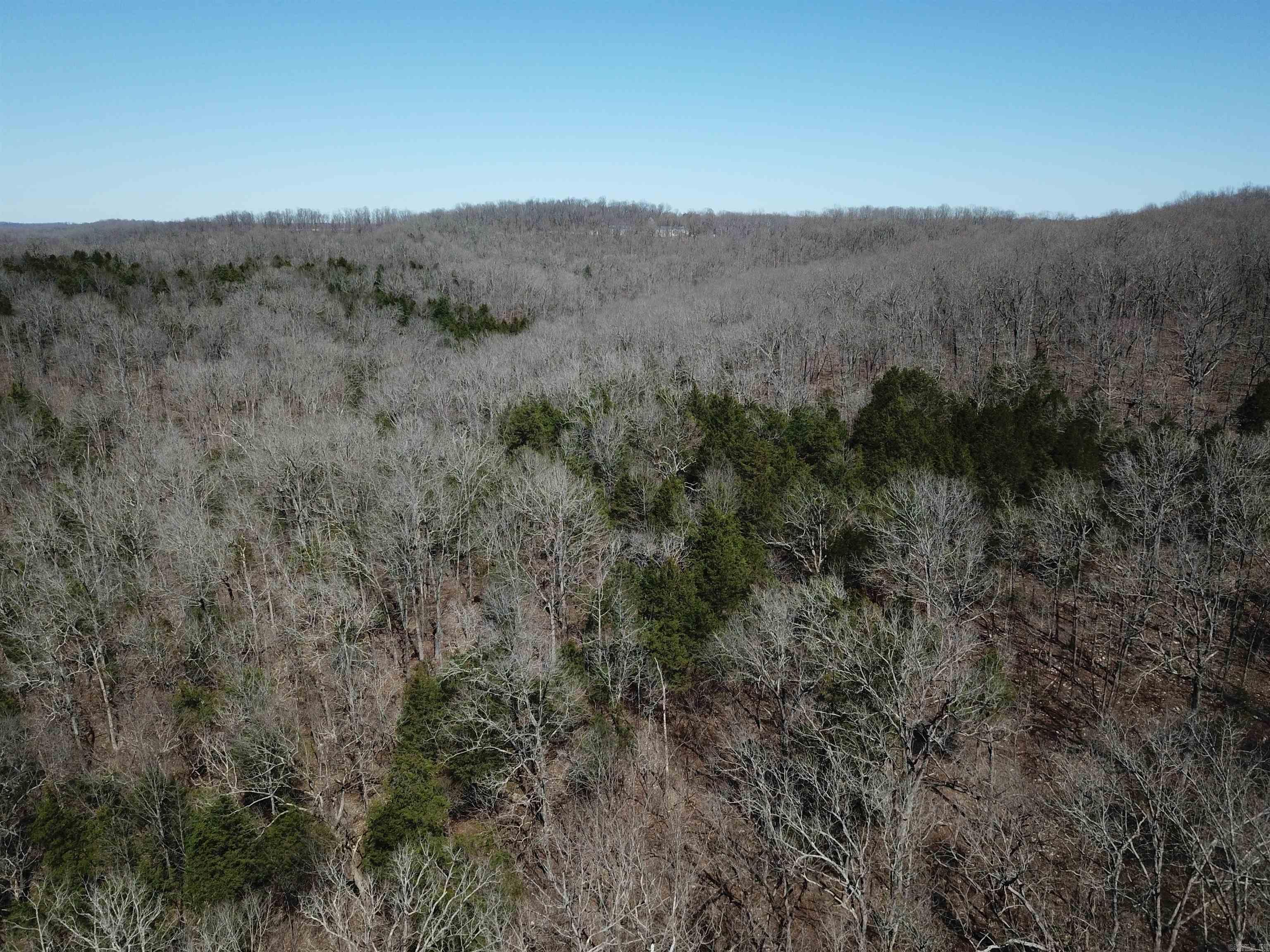 Photo 10 - Vacant Land for sale – 000  Bluff   Hardy, AR
