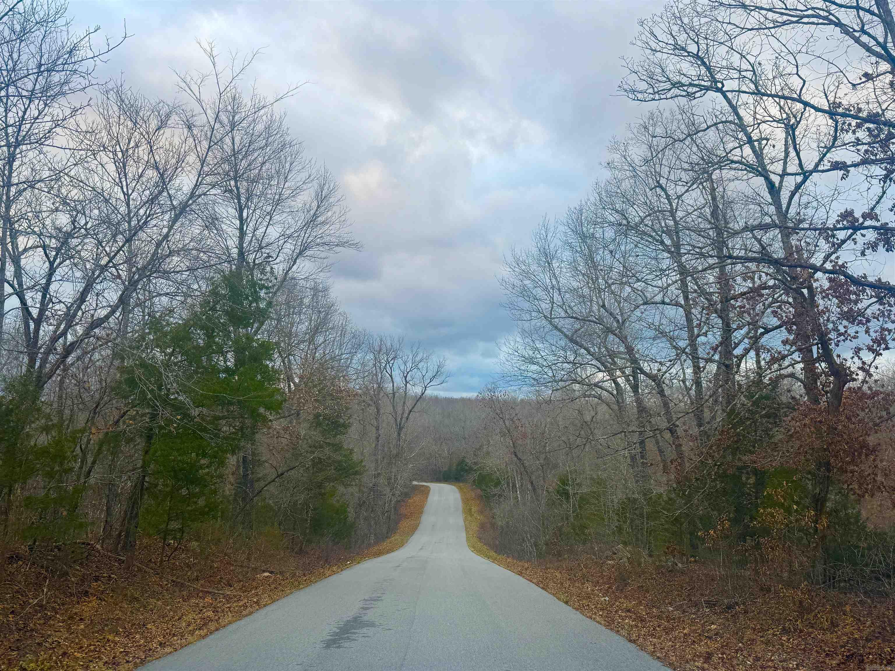Photo 11 - Vacant Land for sale – Lot 5,6  South Bend Drive   Horseshoe Bend, AR