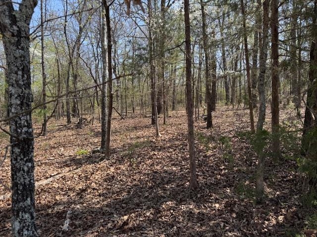 Photo 3 - Vacant Land for sale – 410 N Sequoia Drive   Horseshoe Bend, AR