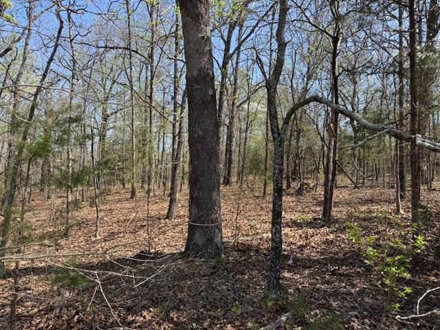 Photo 4 - Vacant Land for sale – 410 N Sequoia Drive   Horseshoe Bend, AR