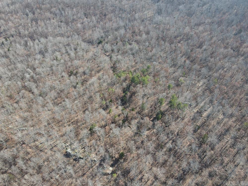 Photo 2 - Vacant Land for sale – Tract A  Rocky Road   Bradford, AR