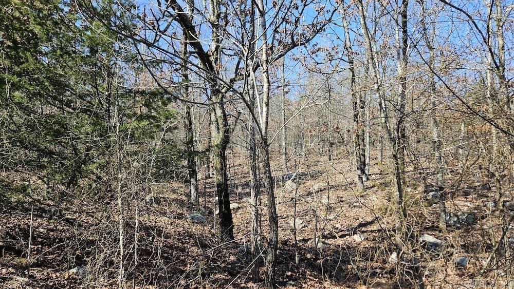 Photo 11 - Vacant Land for sale – Tract A  Rocky Road   Bradford, AR
