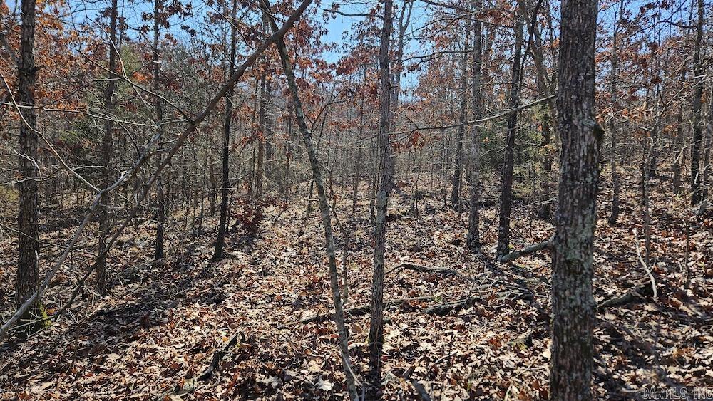 Photo 12 - Vacant Land for sale – Tract A  Rocky Road   Bradford, AR