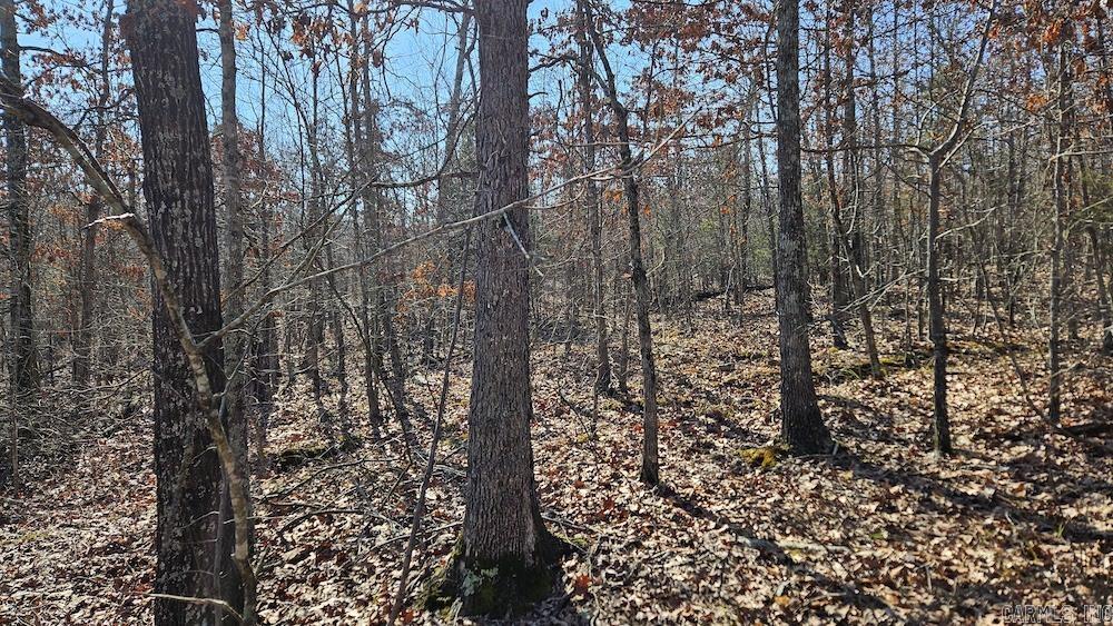 Photo 13 - Vacant Land for sale – Tract A  Rocky Road   Bradford, AR