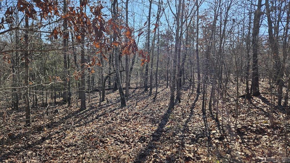 Photo 14 - Vacant Land for sale – Tract A  Rocky Road   Bradford, AR