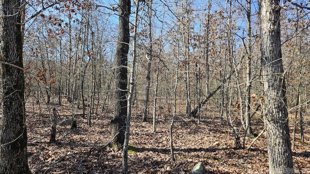 Photo 15 - Vacant Land for sale – Tract A  Rocky Road   Bradford, AR