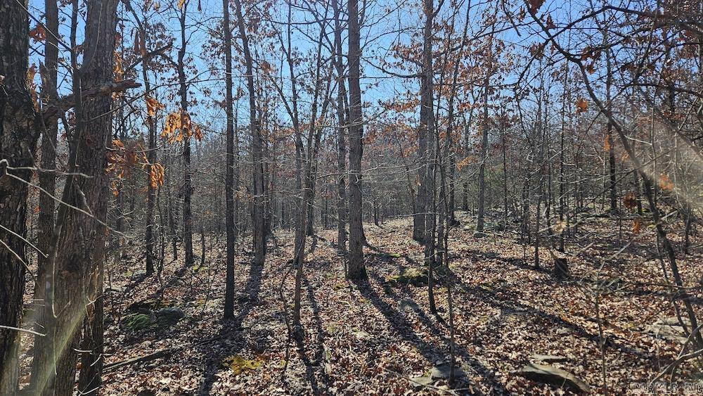 Photo 16 - Vacant Land for sale – Tract A  Rocky Road   Bradford, AR