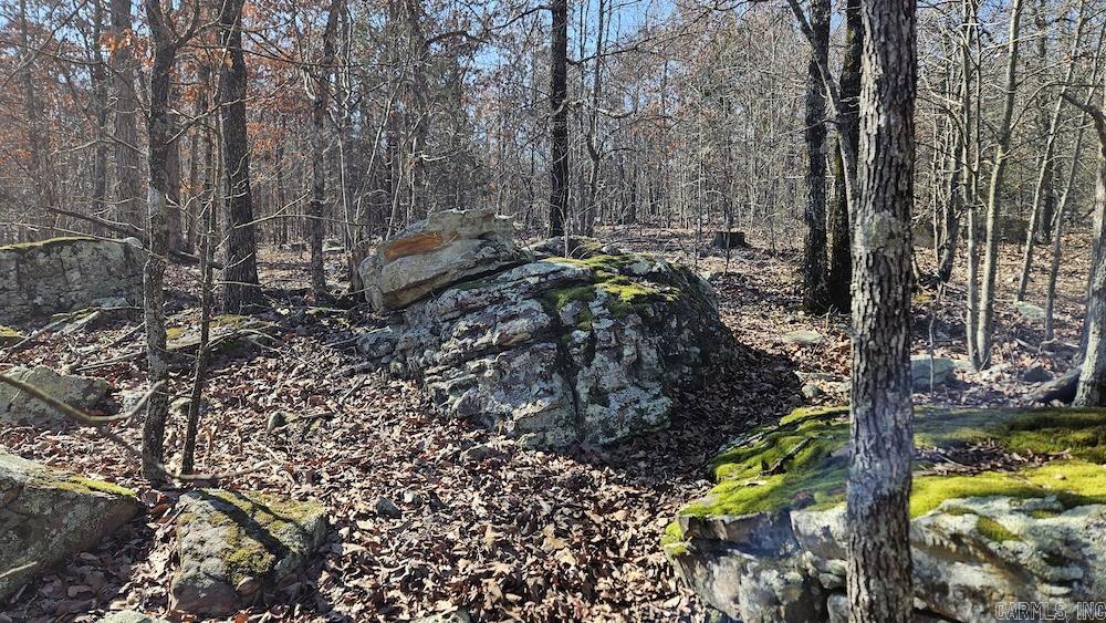 Photo 17 - Vacant Land for sale – Tract A  Rocky Road   Bradford, AR