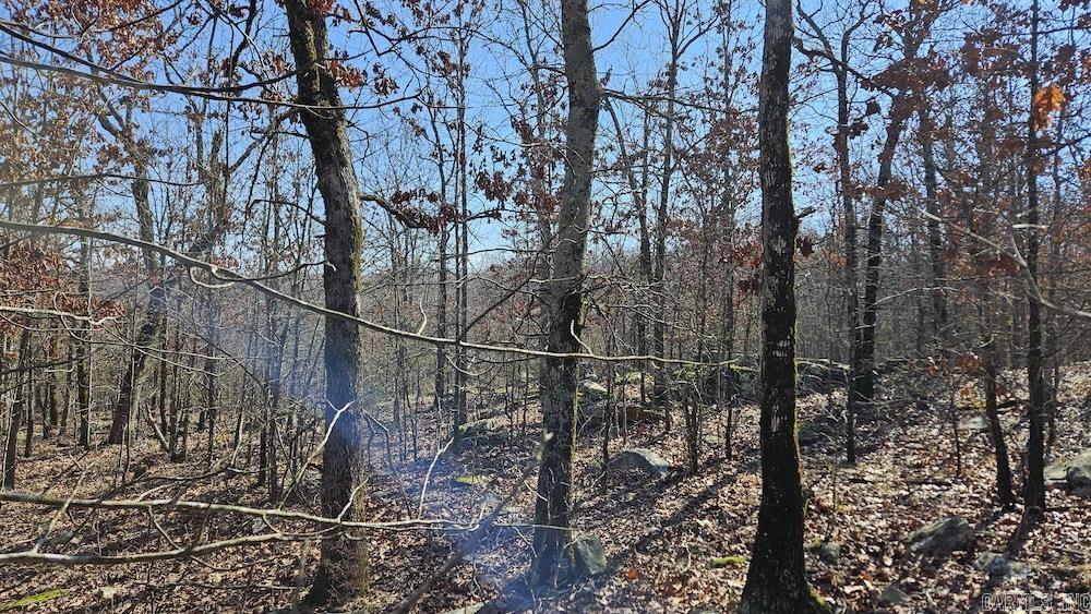 Photo 18 - Vacant Land for sale – Tract A  Rocky Road   Bradford, AR