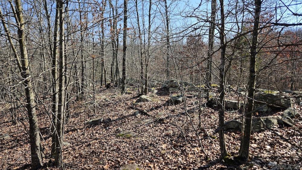 Photo 19 - Vacant Land for sale – Tract A  Rocky Road   Bradford, AR