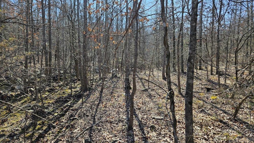 Photo 20 - Vacant Land for sale – Tract A  Rocky Road   Bradford, AR