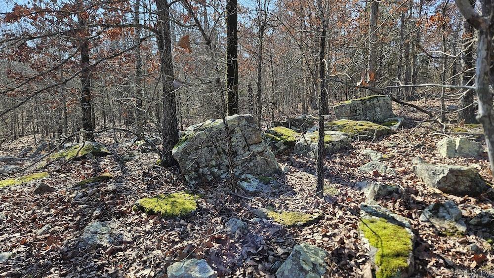 Photo 3 - Vacant Land for sale – Tract A  Rocky Road   Bradford, AR