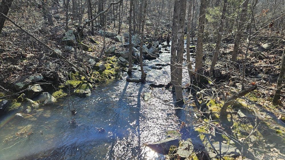 Photo 21 - Vacant Land for sale – Tract A  Rocky Road   Bradford, AR